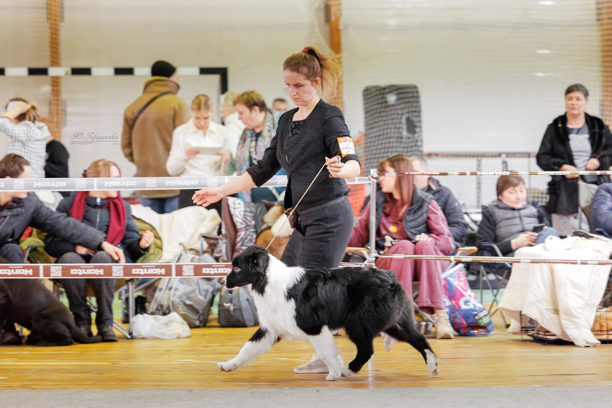 Тверь 21.12.2025. Фотограф-анималист Юлия Германика