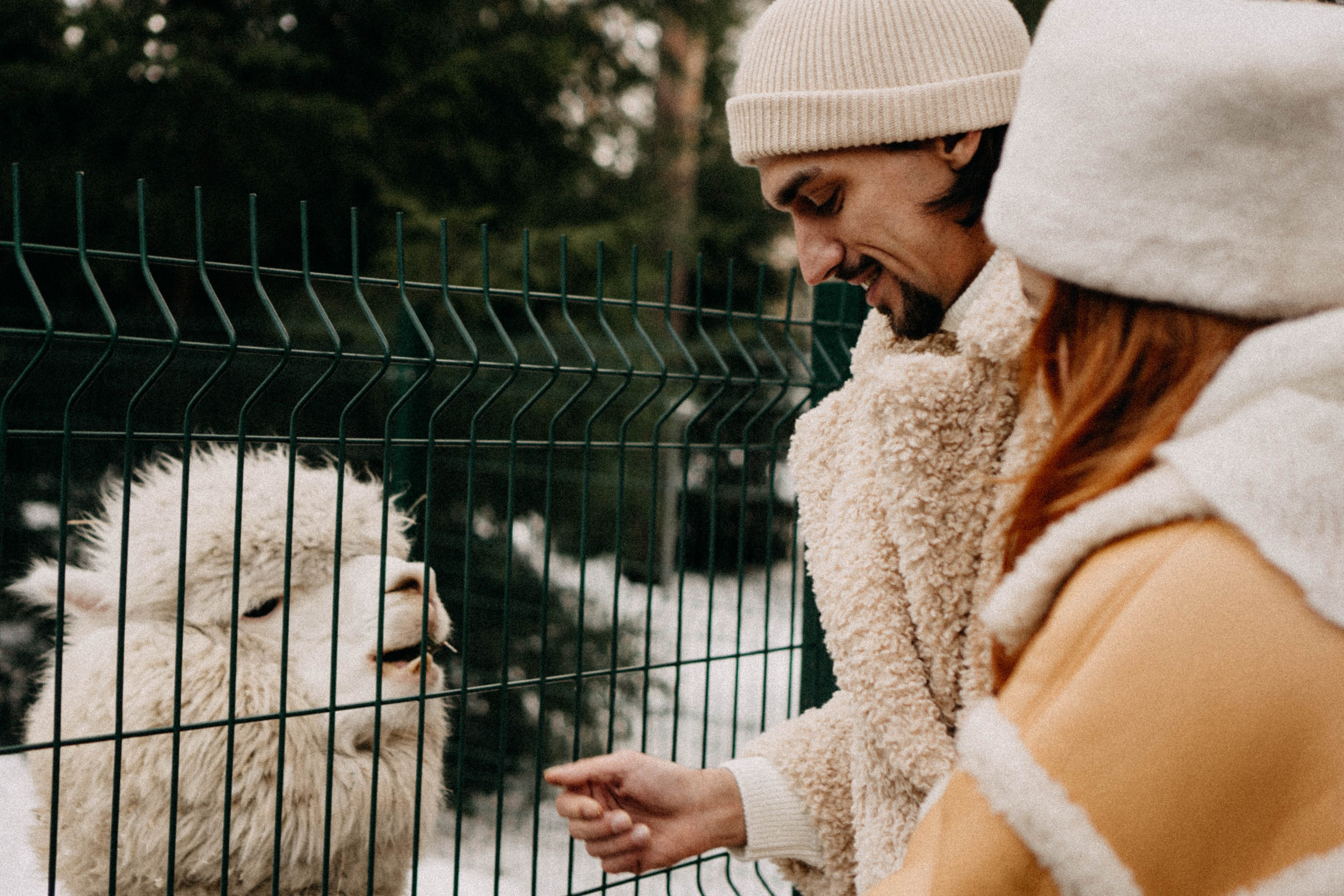 Каток. Профессиональный фотограф, Санкт-Петербург — Виктория Богомолова