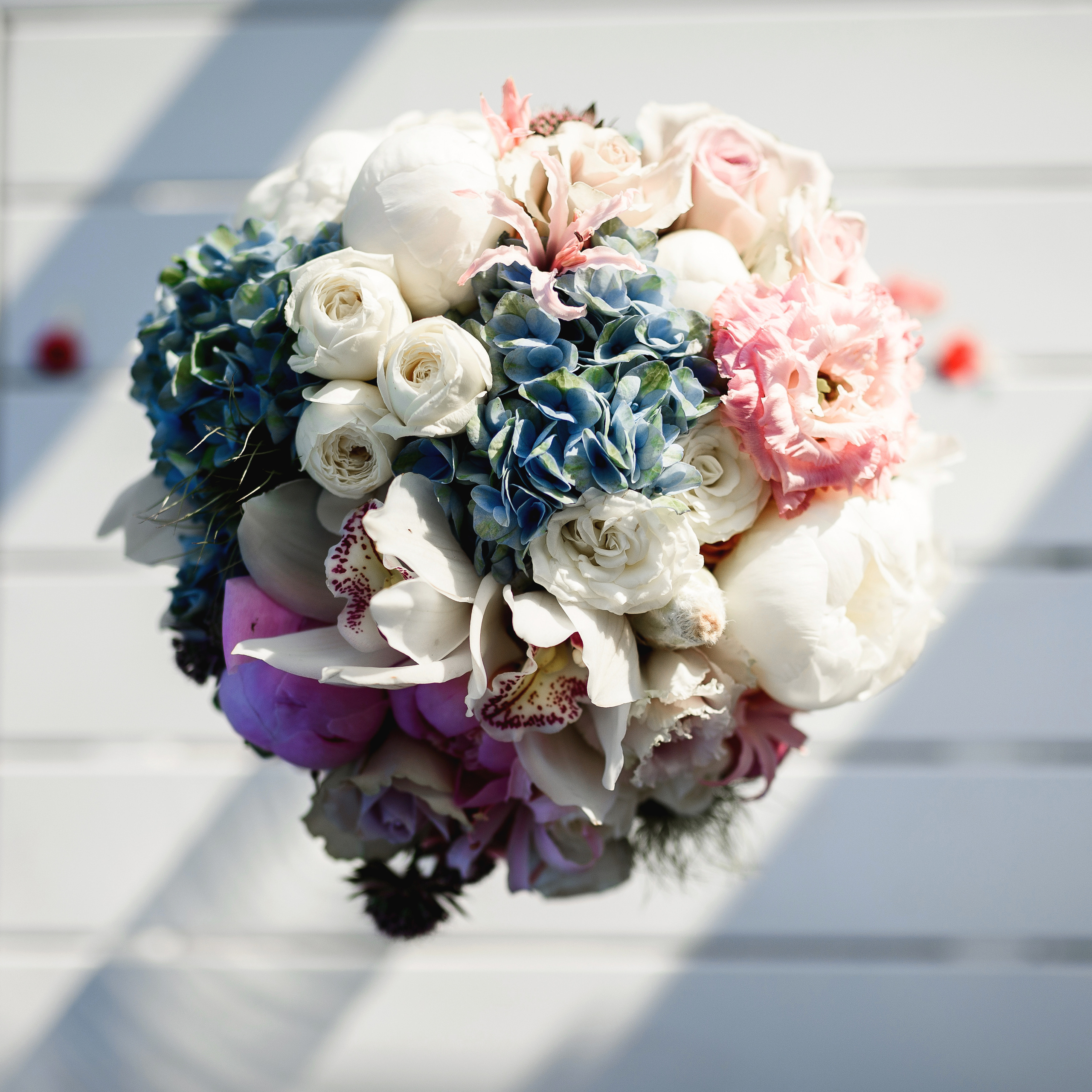 Лена и Максим. Photographer in Sevastopol, Crimea and Moscow Gorbunov Denis