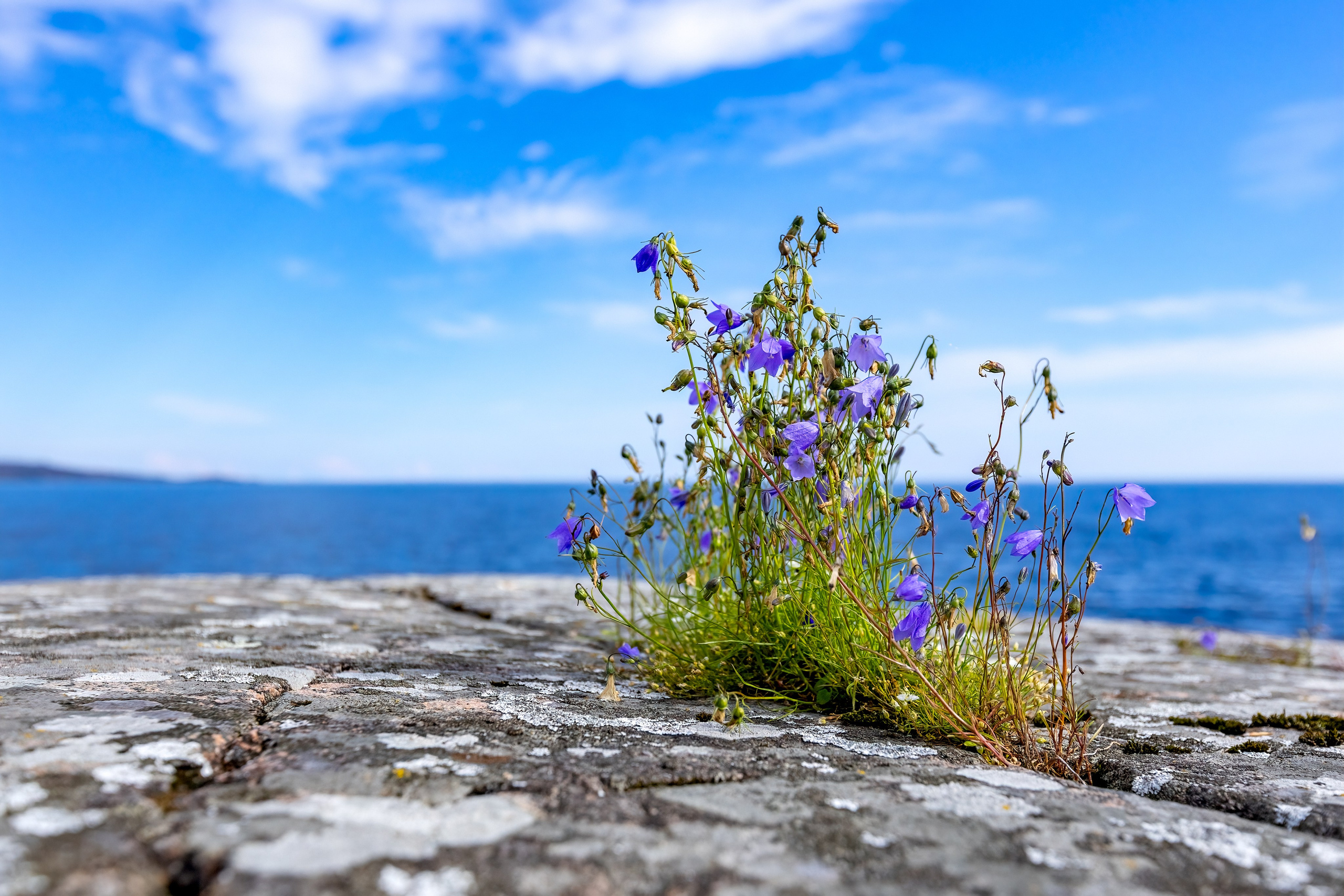 Ладожское озеро. Аэросъемка. Фото и Видео в Карелии. Алексей Фрилунд