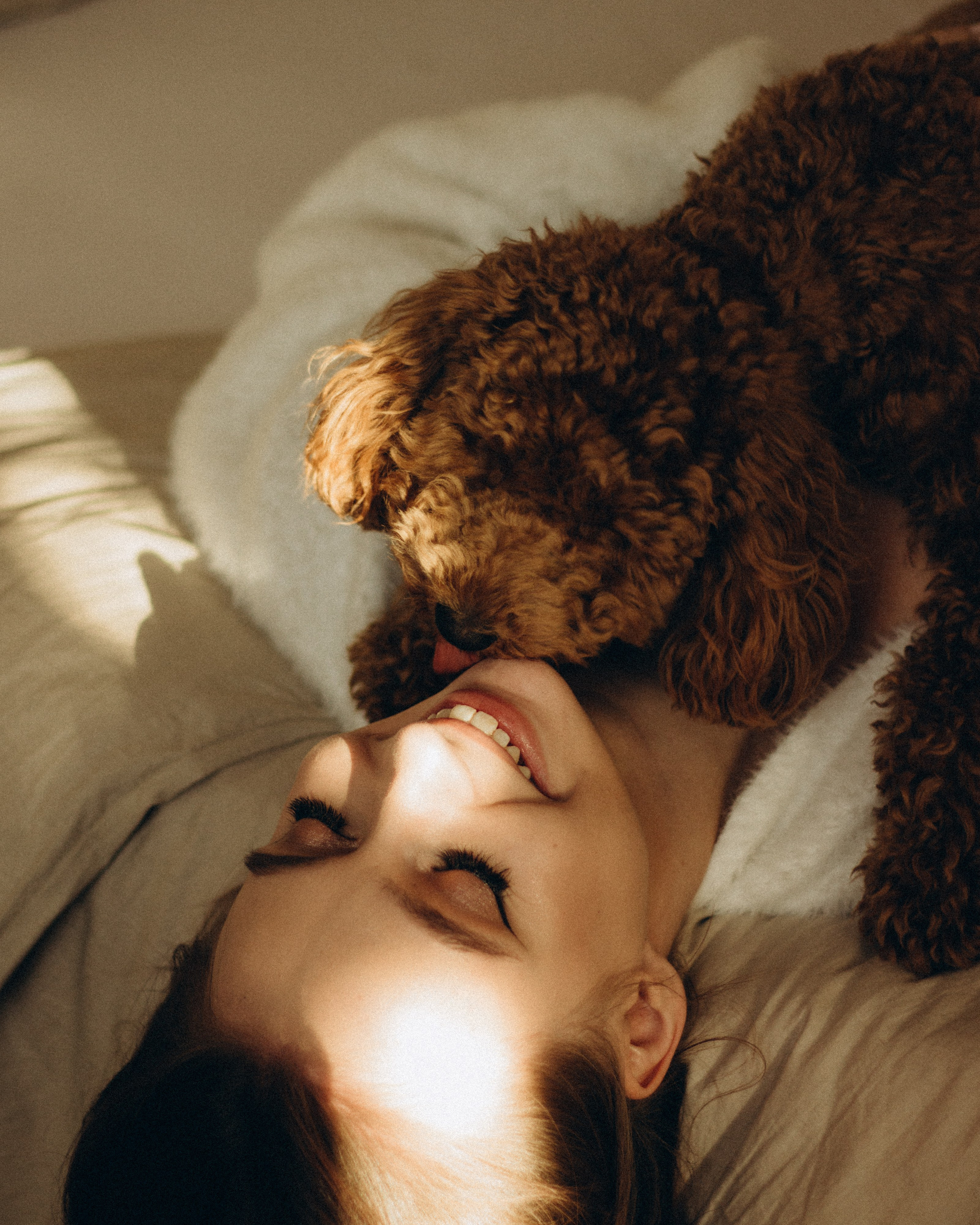 Пушистая история Гречки. Семейный фотограф в Нижнем Новгороде