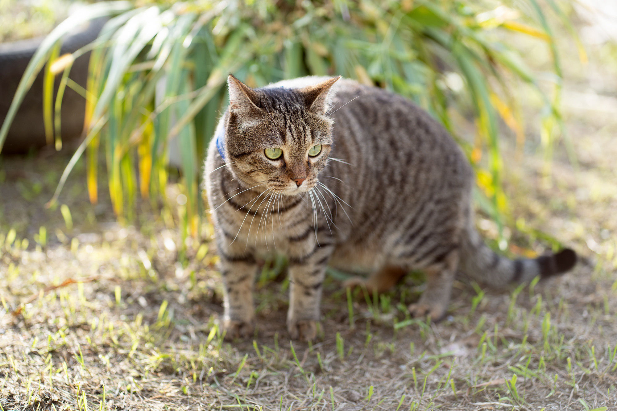 BARSELON. Семейный и детский фотограф в Хабаровске Анна Гриневич