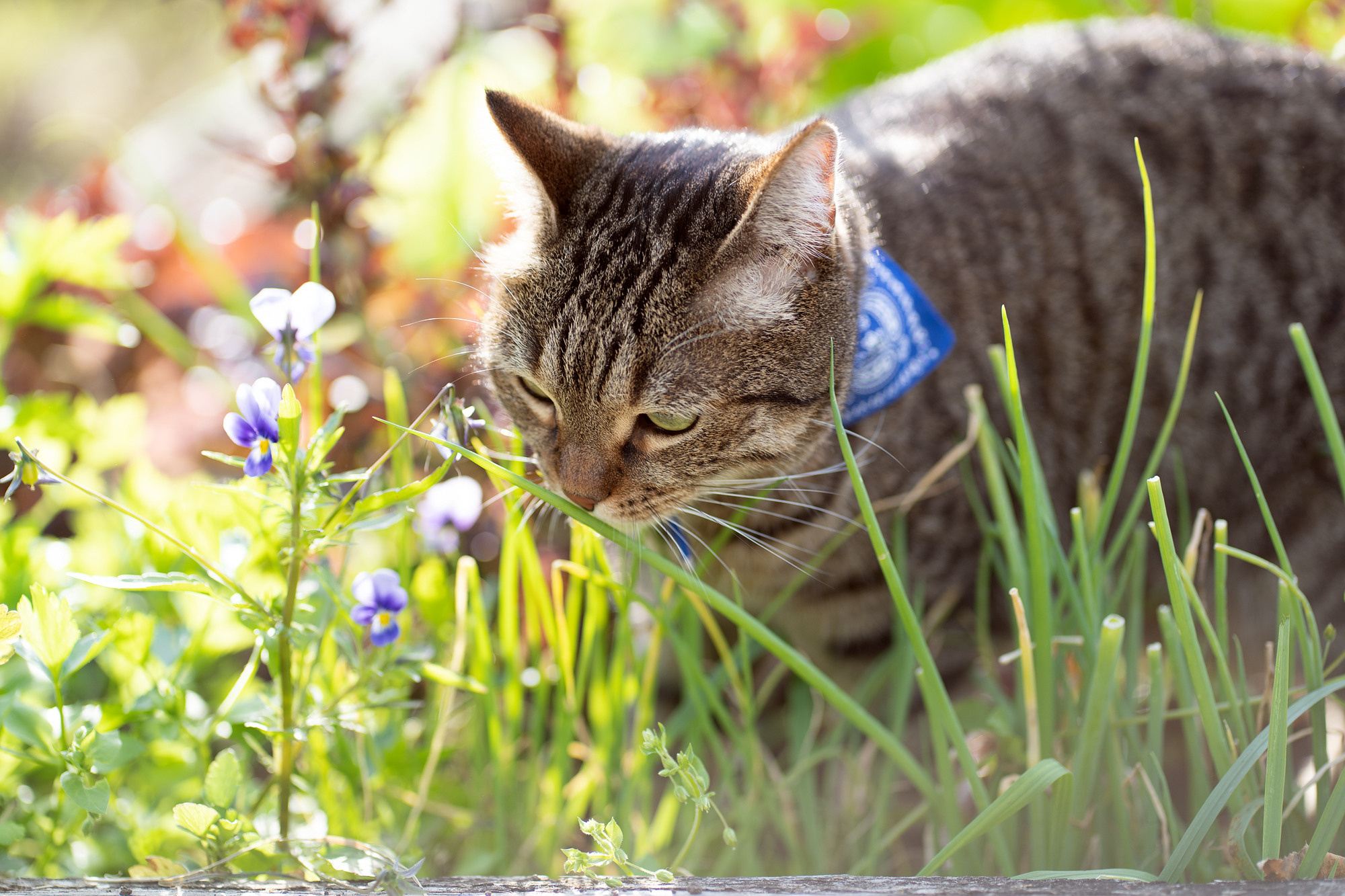 BARSELON. Семейный и детский фотограф в Хабаровске Анна Гриневич