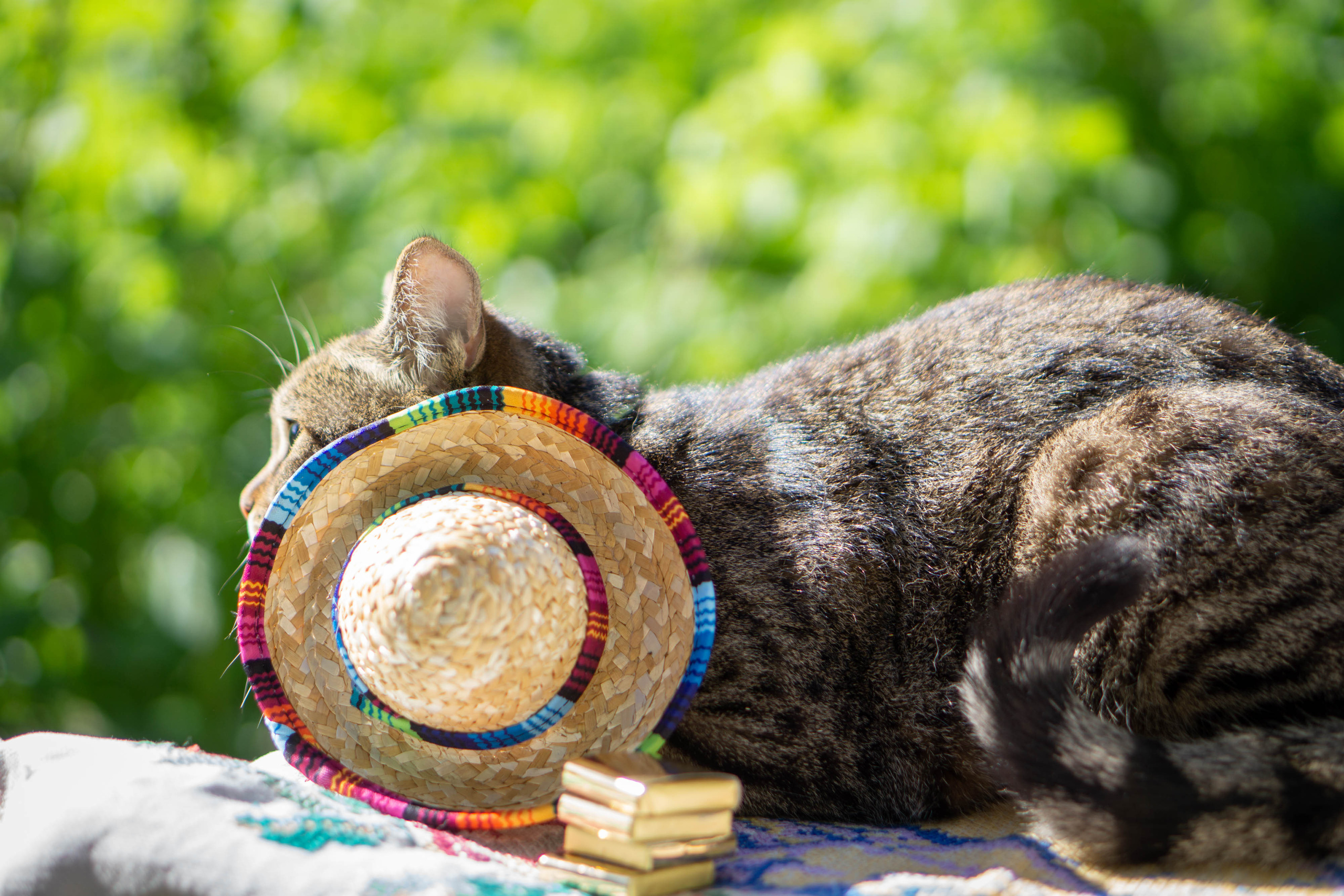 Хочу на БАЛИ!. Семейный и детский фотограф в Хабаровске Анна Гриневич