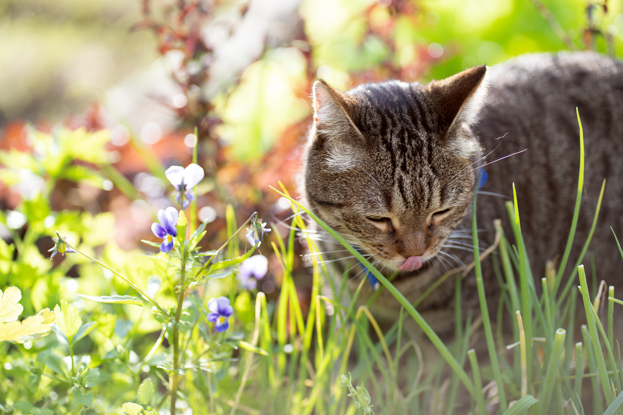 BARSELON. Семейный и детский фотограф в Хабаровске Анна Гриневич