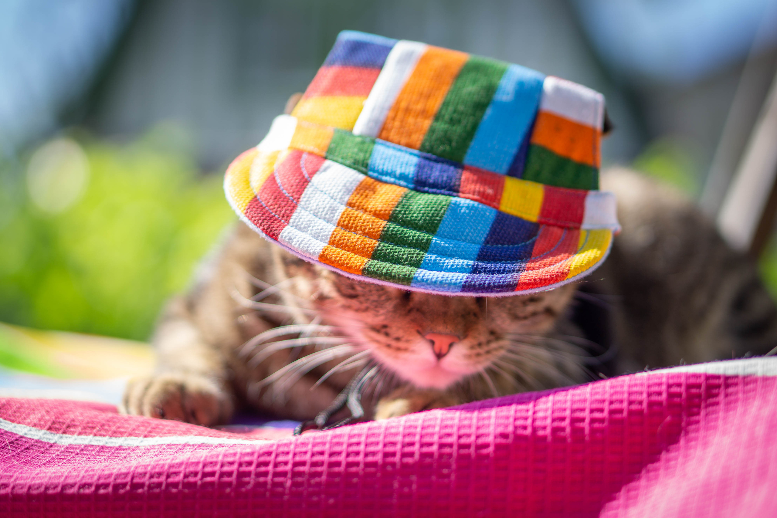 Хочу на БАЛИ!. Семейный и детский фотограф в Хабаровске Анна Гриневич