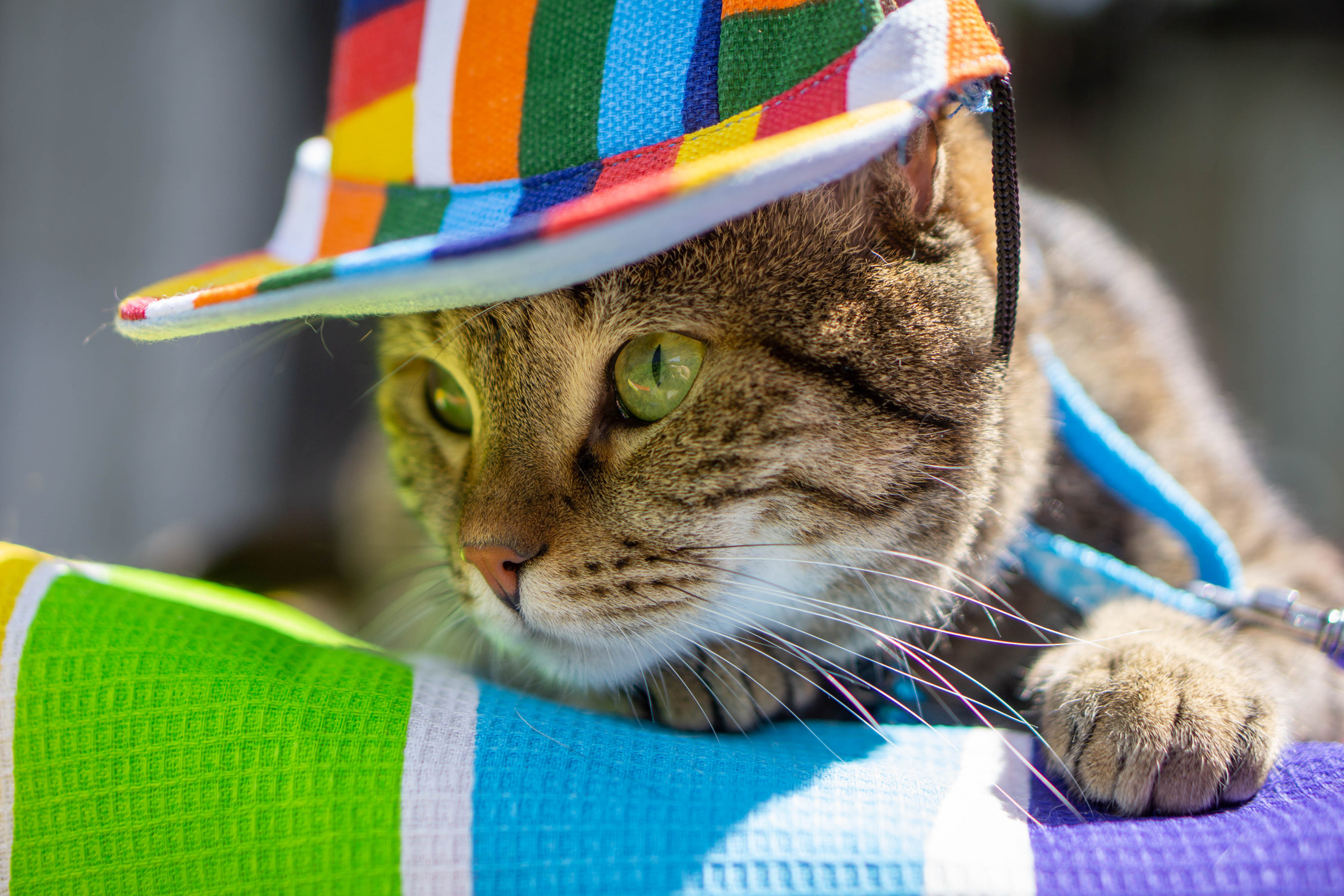 Хочу на БАЛИ!. Семейный и детский фотограф в Хабаровске Анна Гриневич