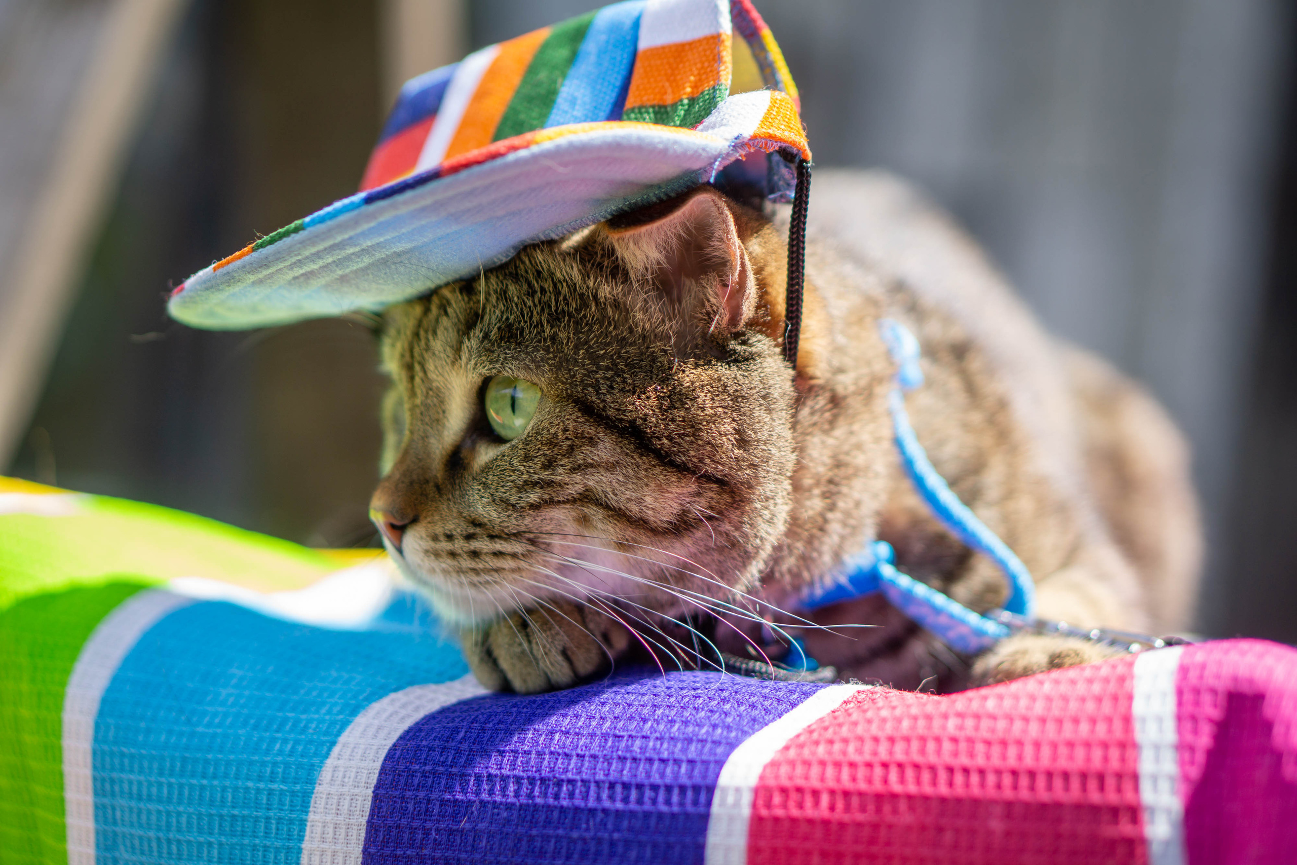 Хочу на БАЛИ!. Семейный и детский фотограф в Хабаровске Анна Гриневич