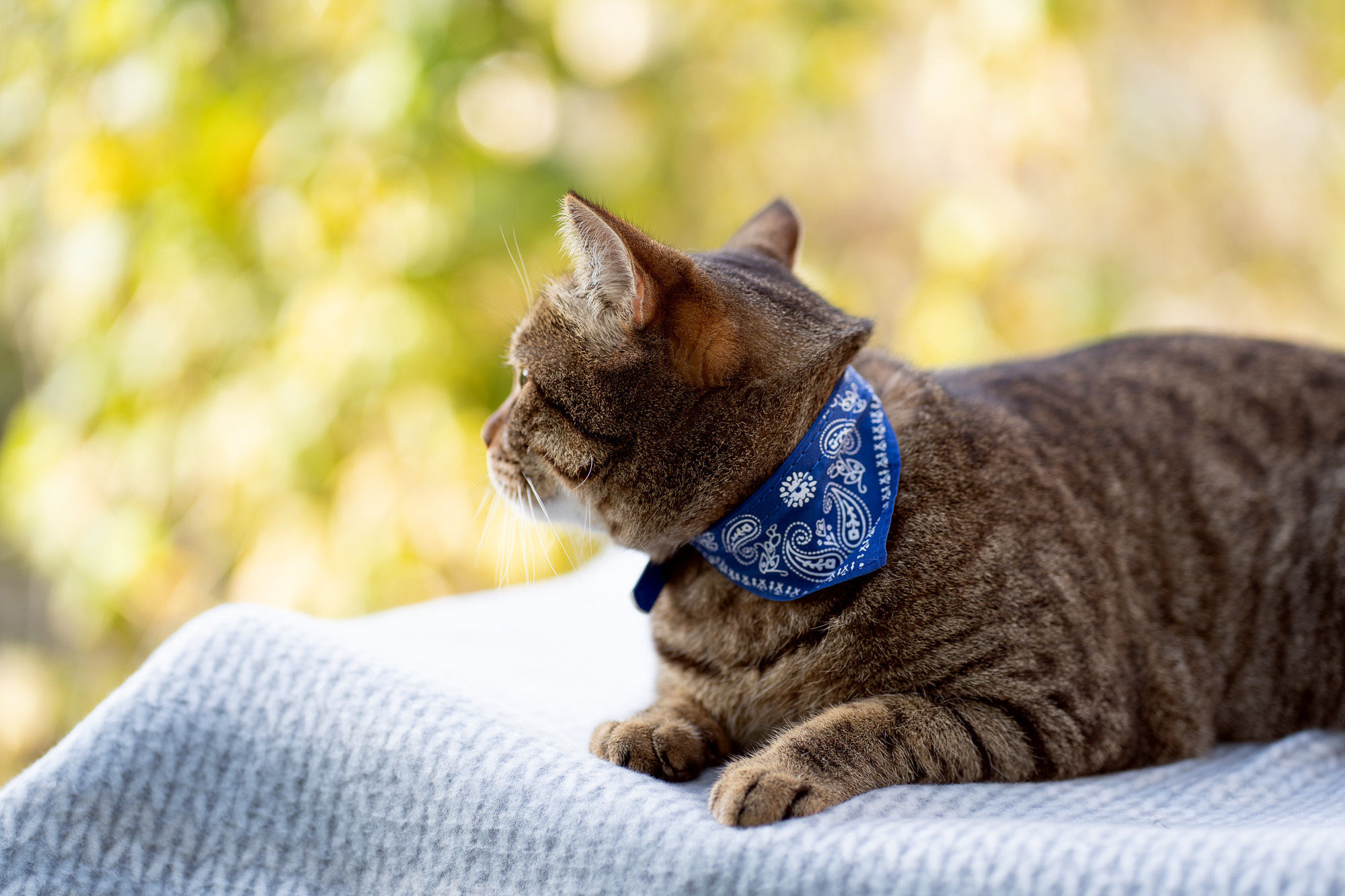 BARSELON. Семейный и детский фотограф в Хабаровске Анна Гриневич