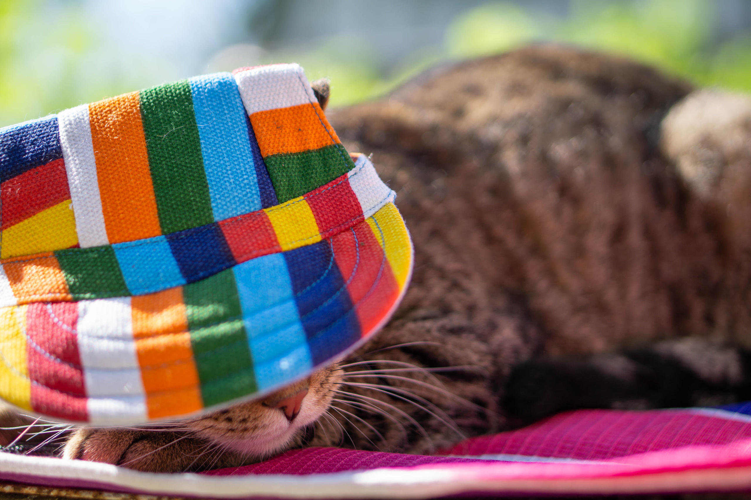 Хочу на БАЛИ!. Семейный и детский фотограф в Хабаровске Анна Гриневич