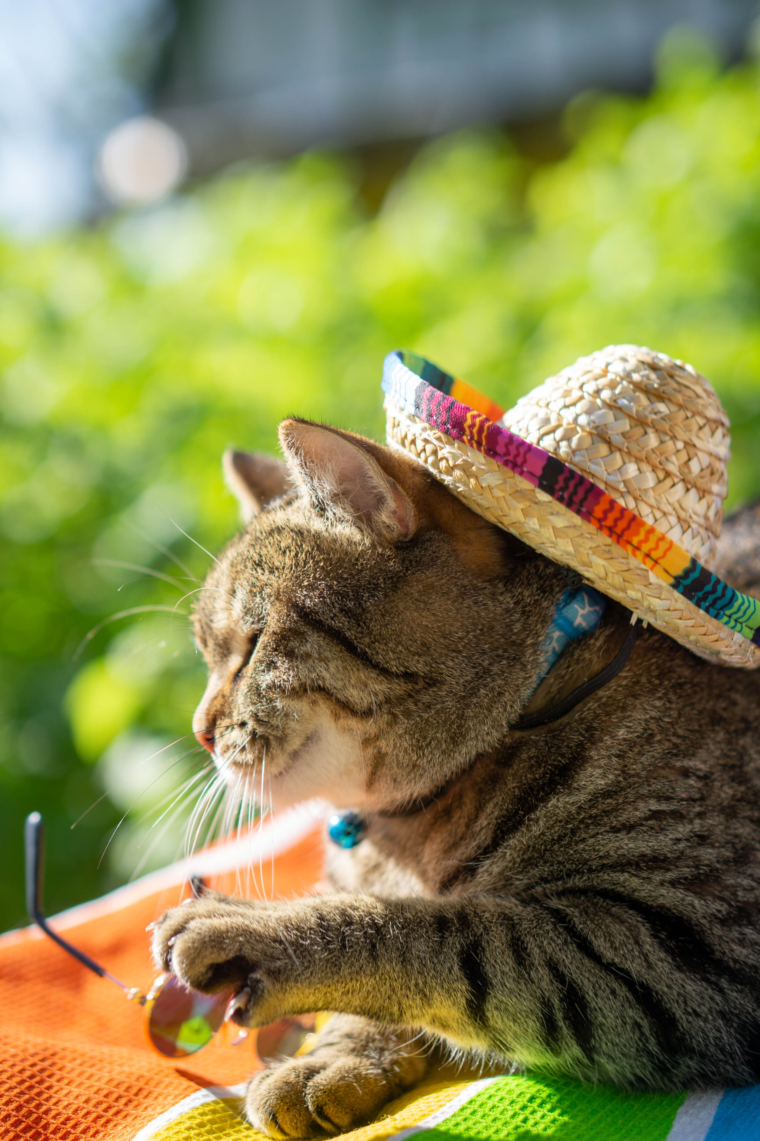 Хочу на БАЛИ!. Семейный и детский фотограф в Хабаровске Анна Гриневич