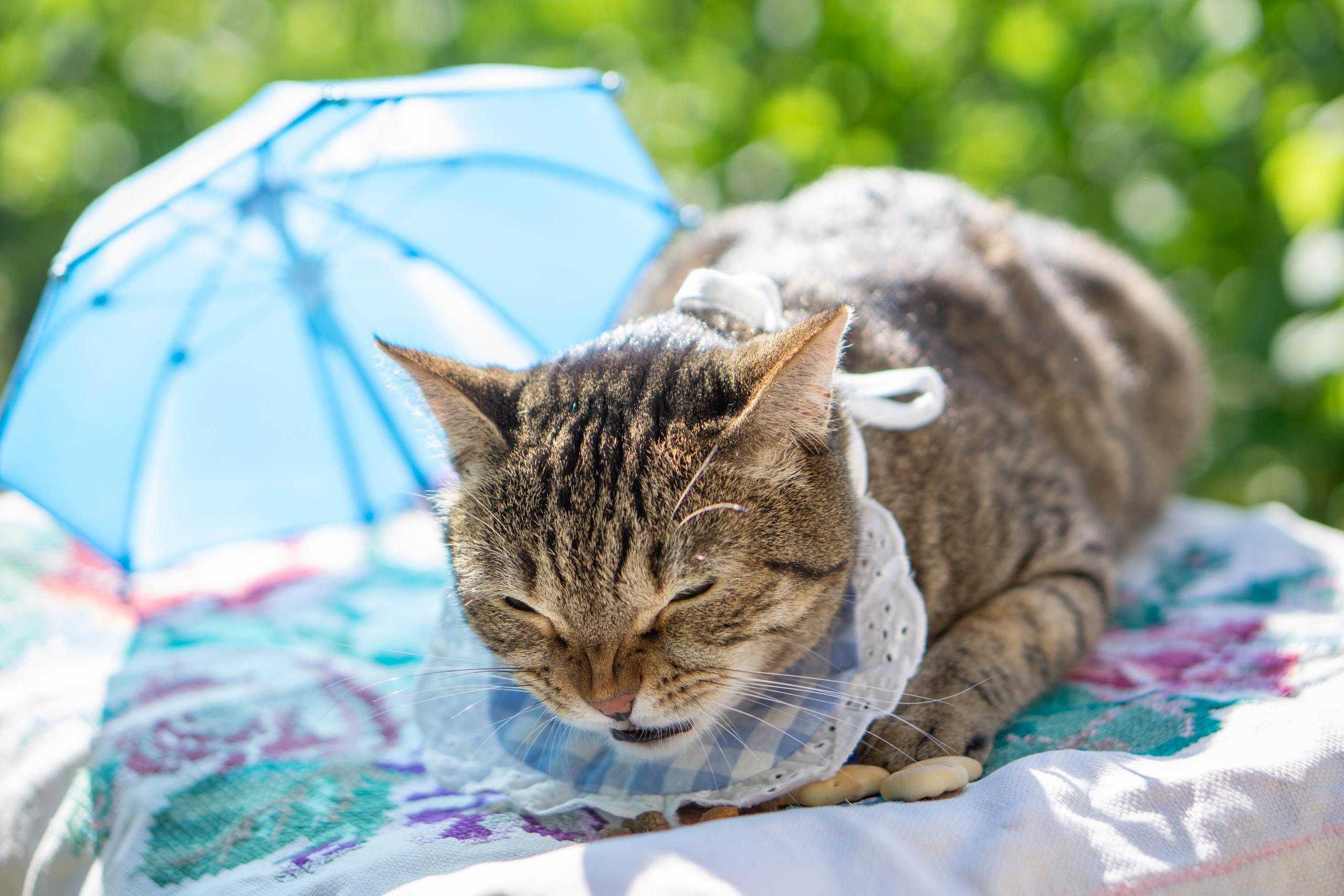 Хочу на БАЛИ!. Семейный и детский фотограф в Хабаровске Анна Гриневич
