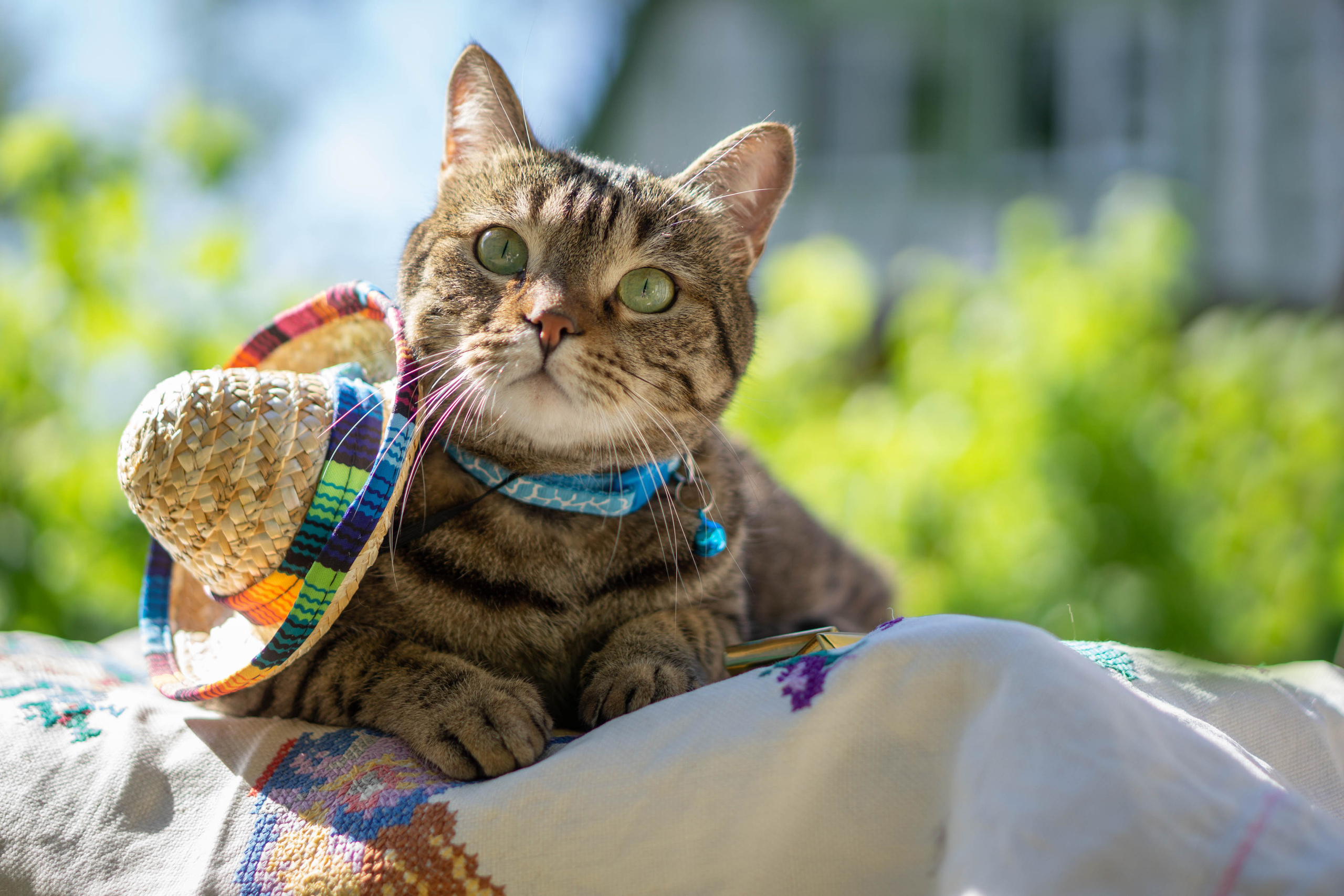 Хочу на БАЛИ!. Семейный и детский фотограф в Хабаровске Анна Гриневич