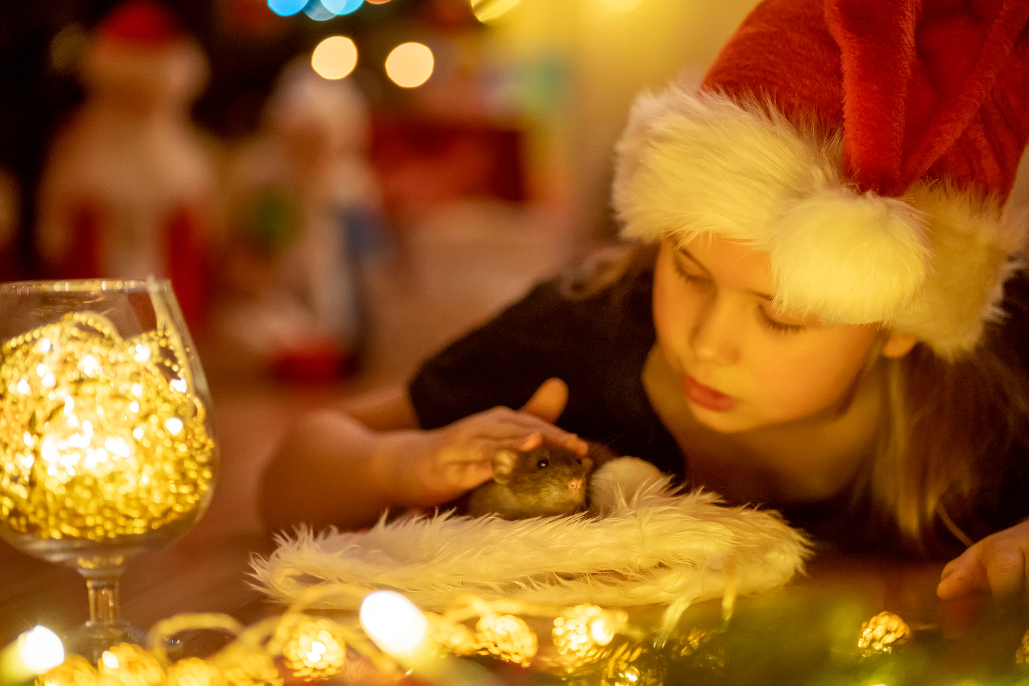 New Year 2022. Семейный и детский фотограф в Хабаровске Анна Гриневич