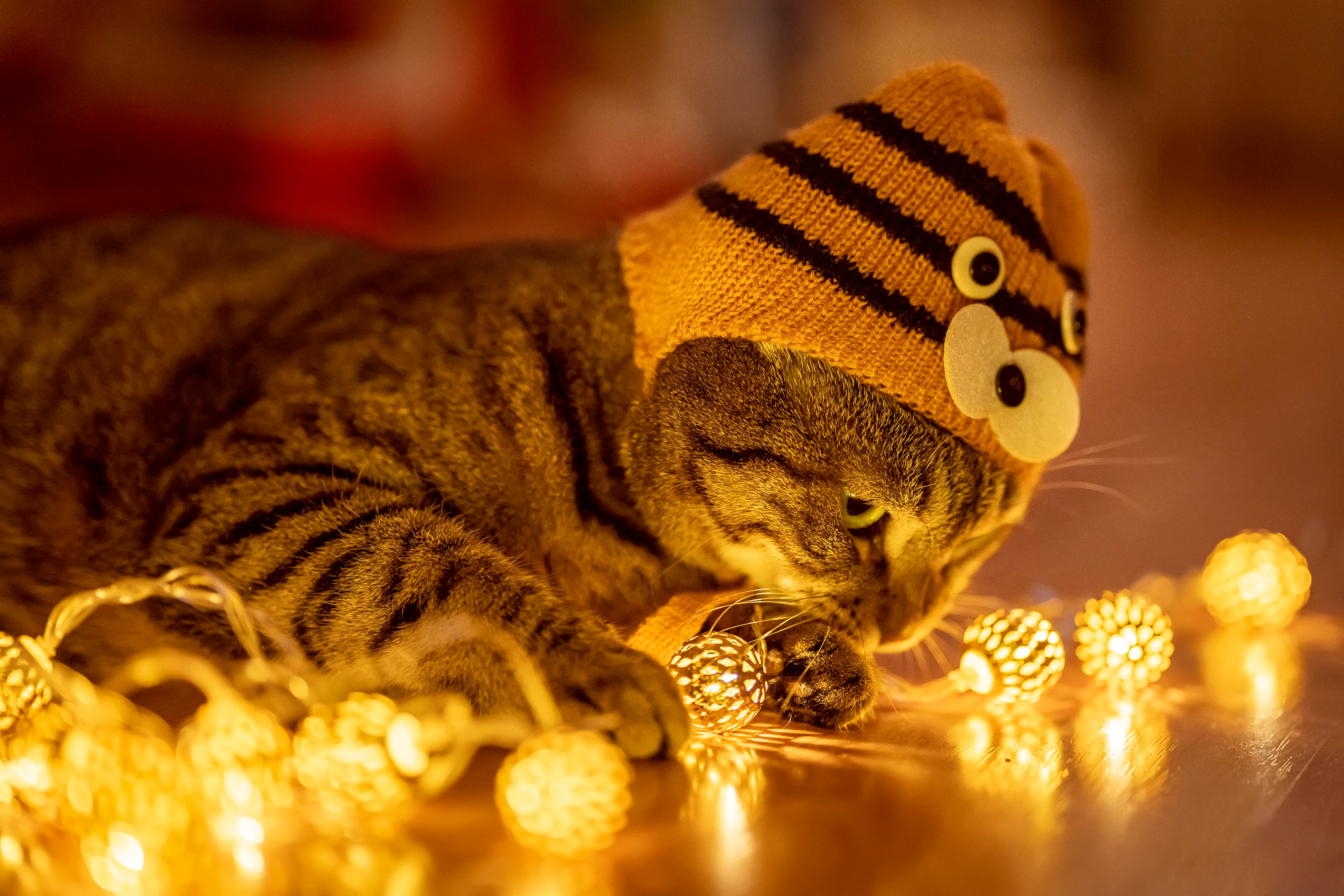 New Year 2022. Семейный и детский фотограф в Хабаровске Анна Гриневич