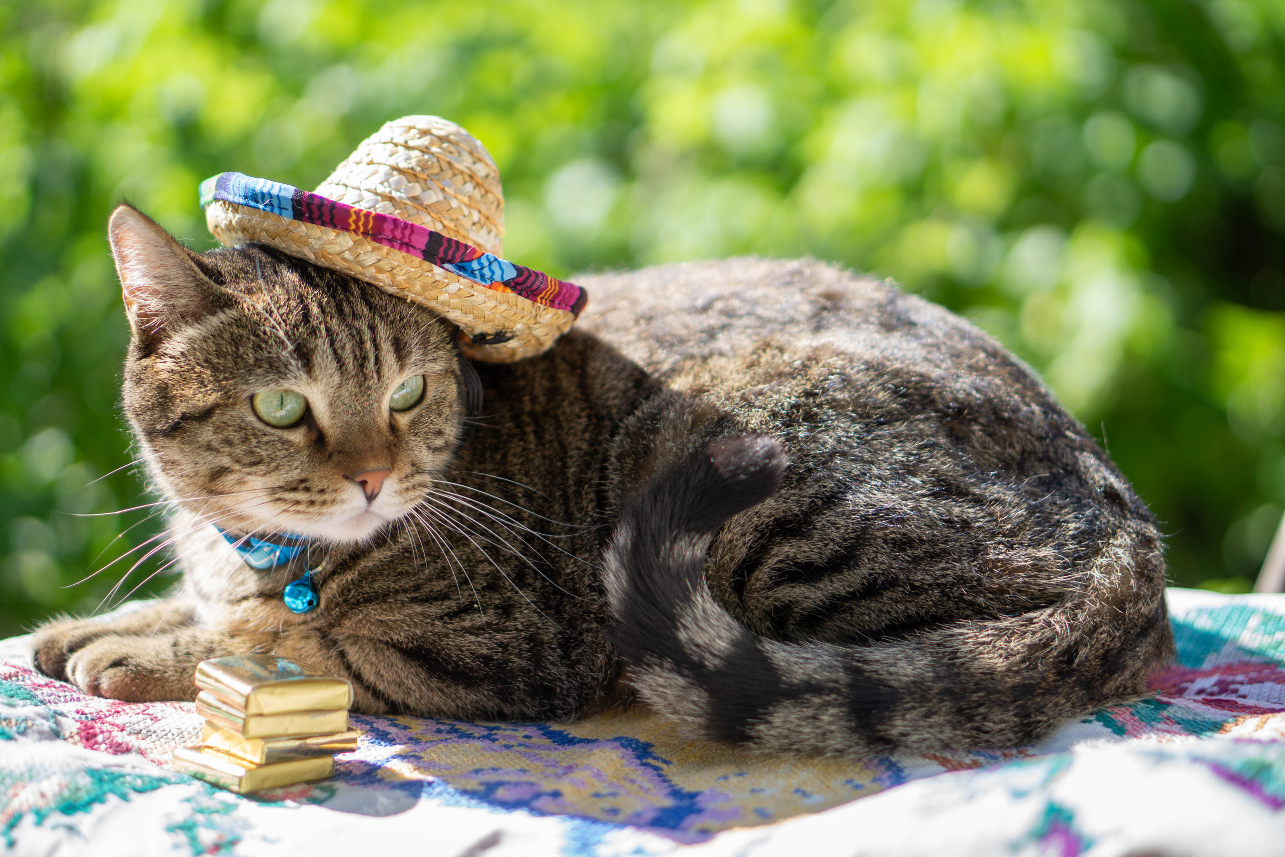 Хочу на БАЛИ!. Семейный и детский фотограф в Хабаровске Анна Гриневич