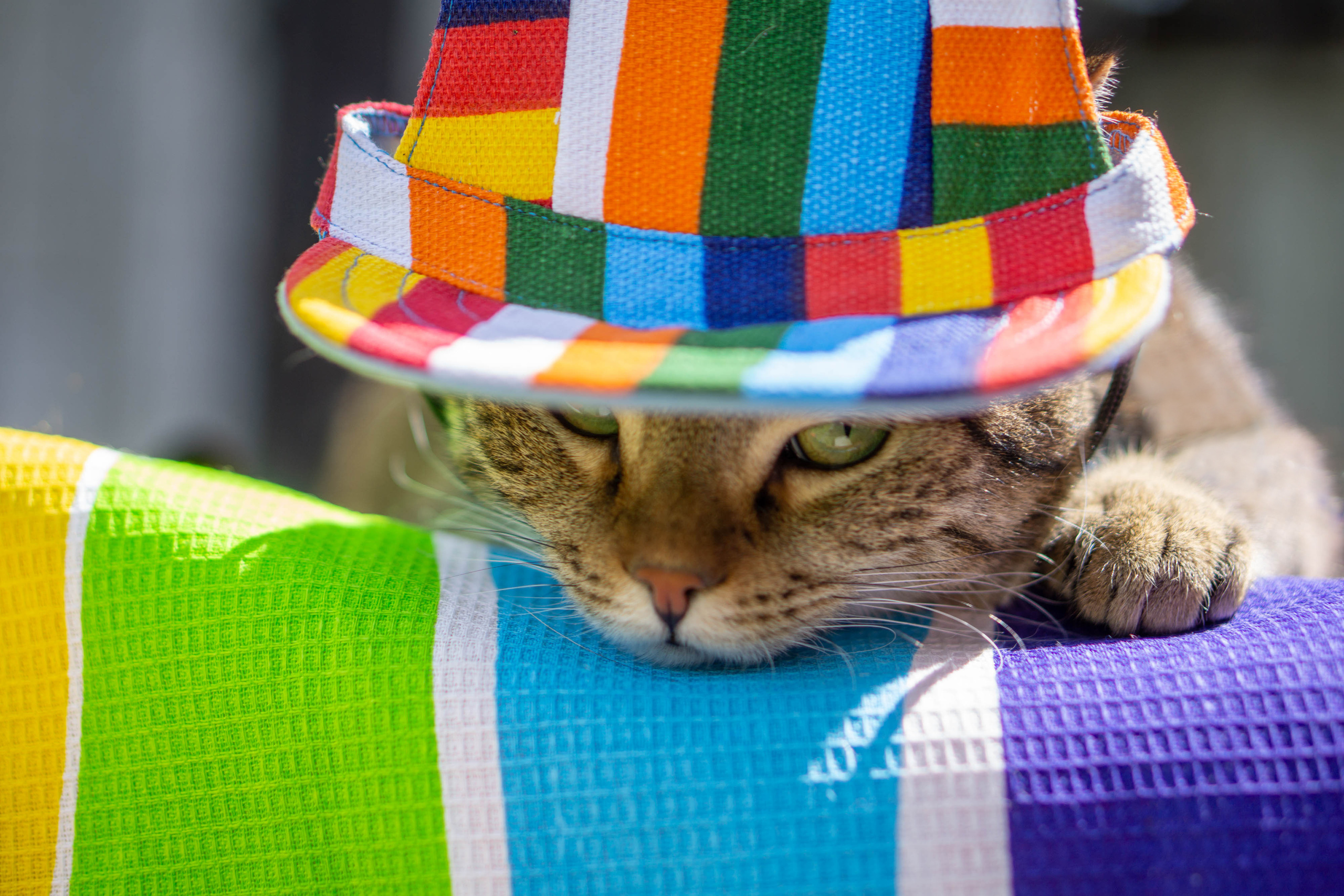 Хочу на БАЛИ!. Семейный и детский фотограф в Хабаровске Анна Гриневич