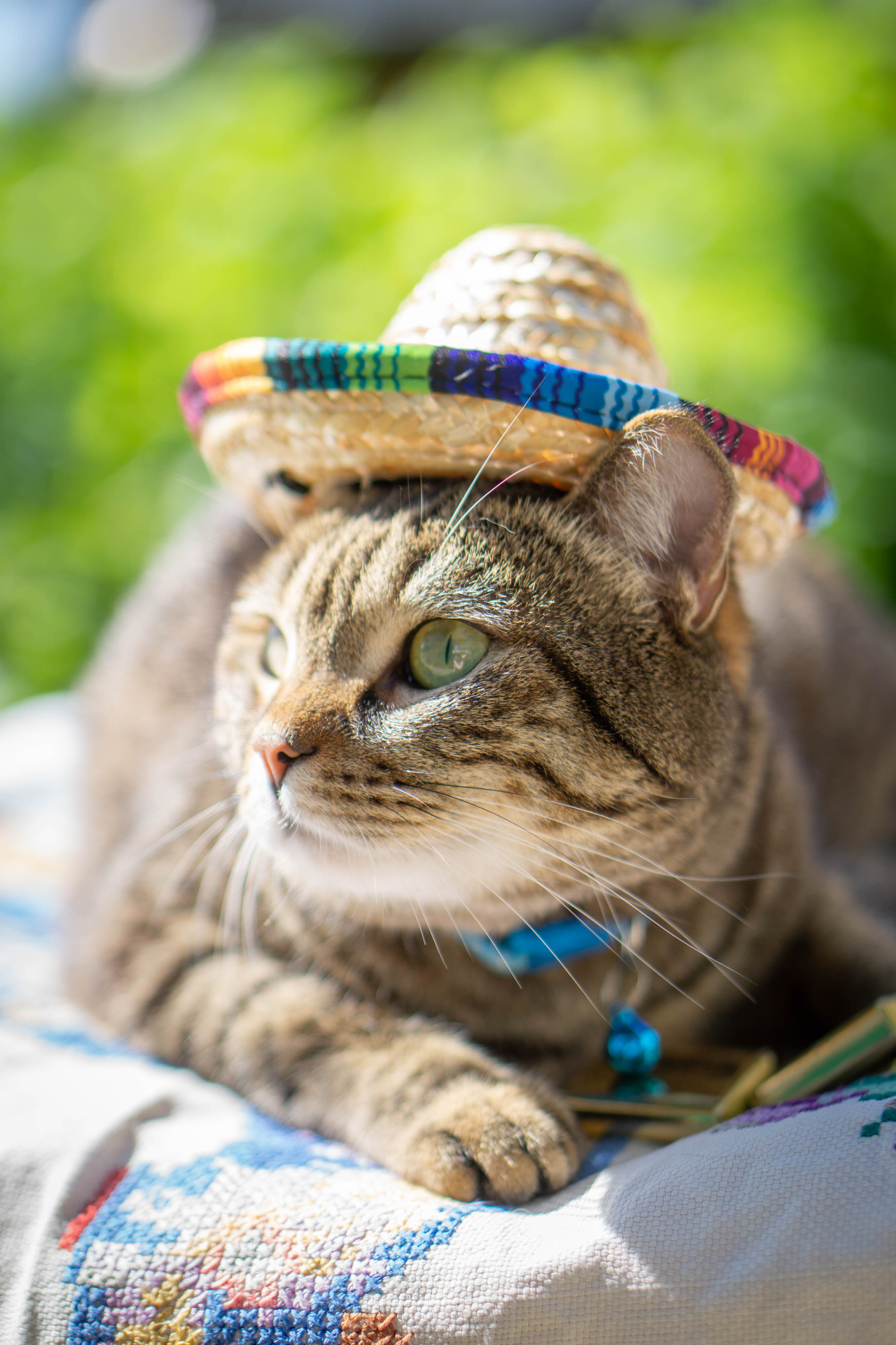 Хочу на БАЛИ!. Семейный и детский фотограф в Хабаровске Анна Гриневич