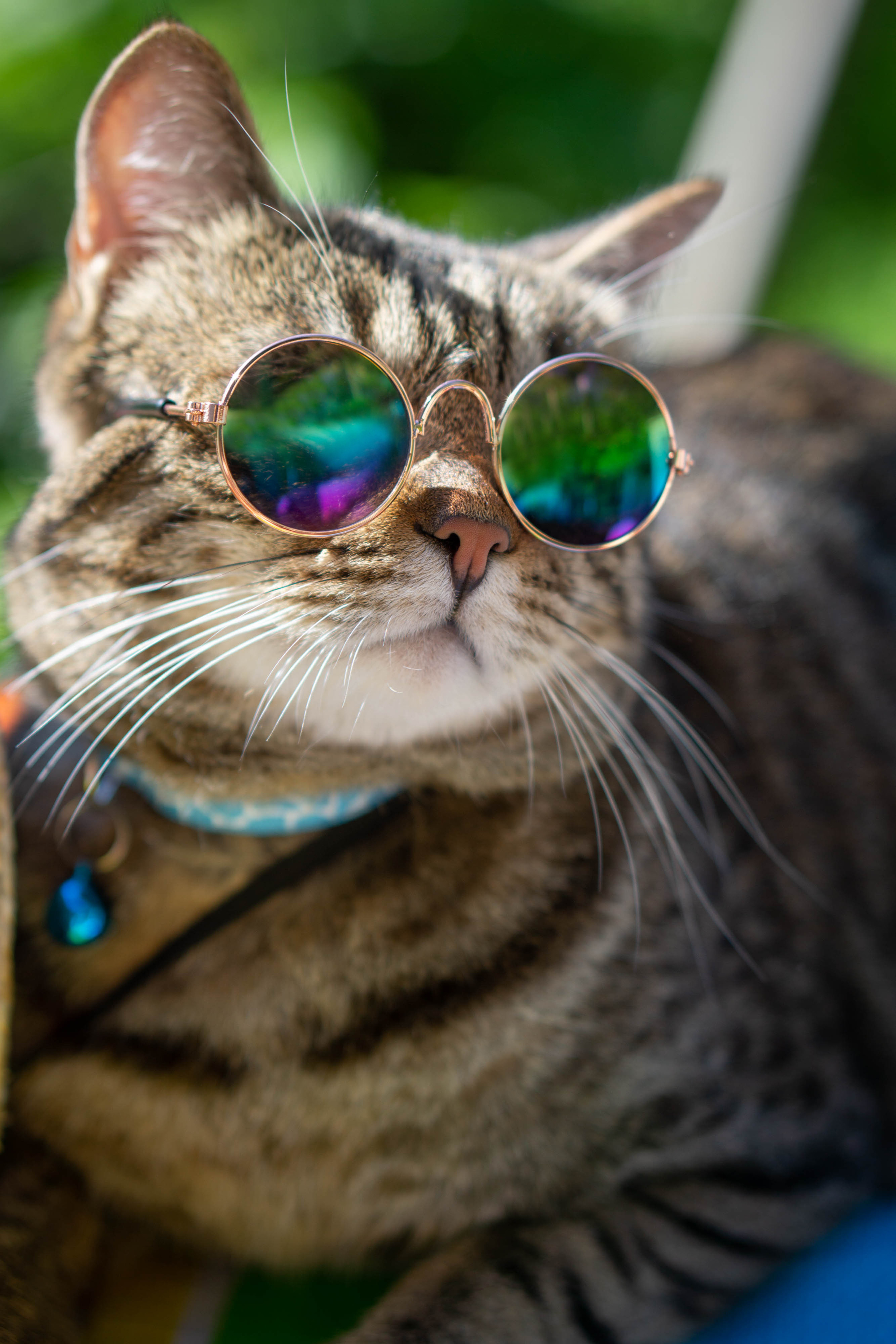 Хочу на БАЛИ!. Семейный и детский фотограф в Хабаровске Анна Гриневич