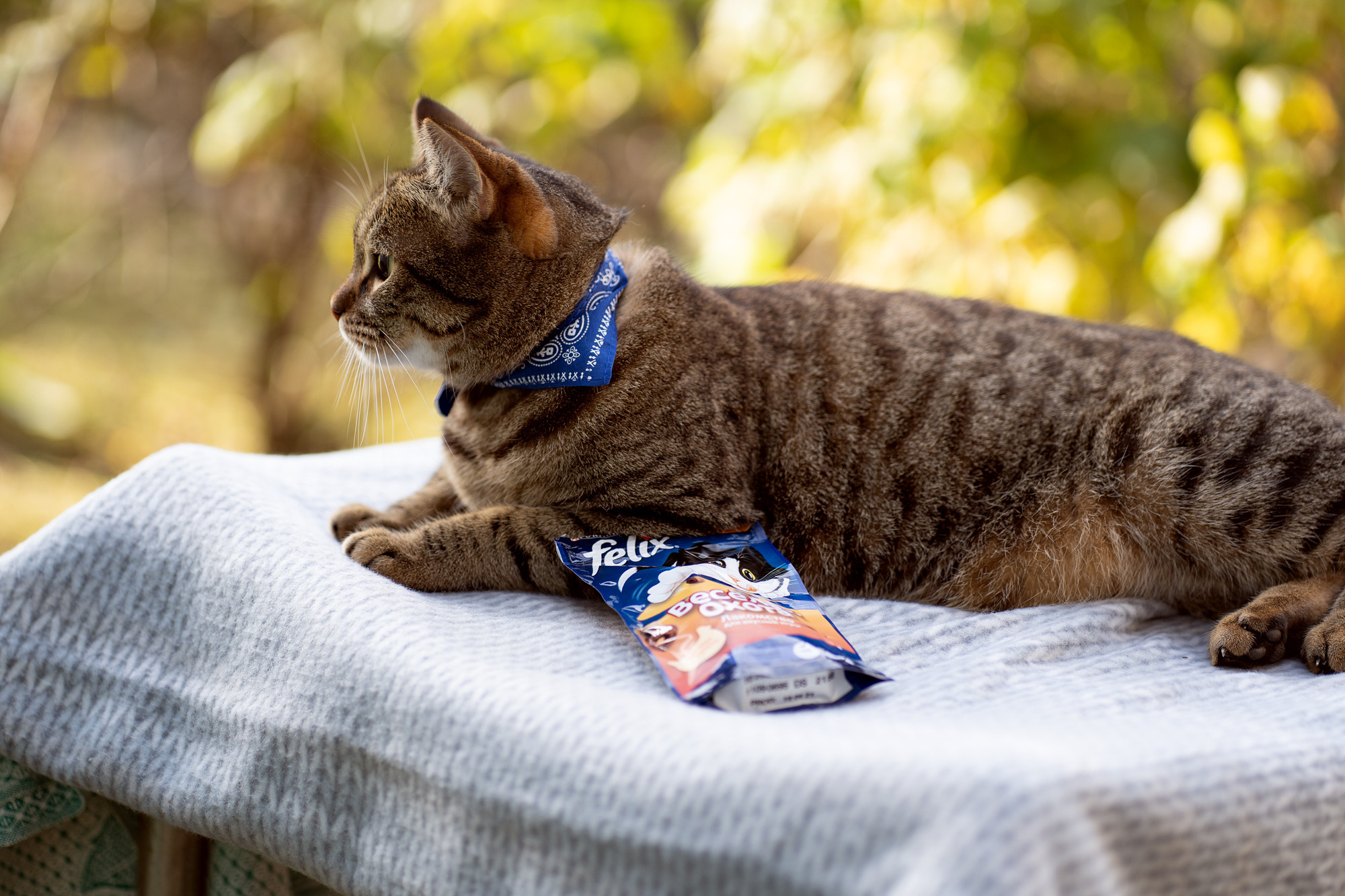 BARSELON. Семейный и детский фотограф в Хабаровске Анна Гриневич