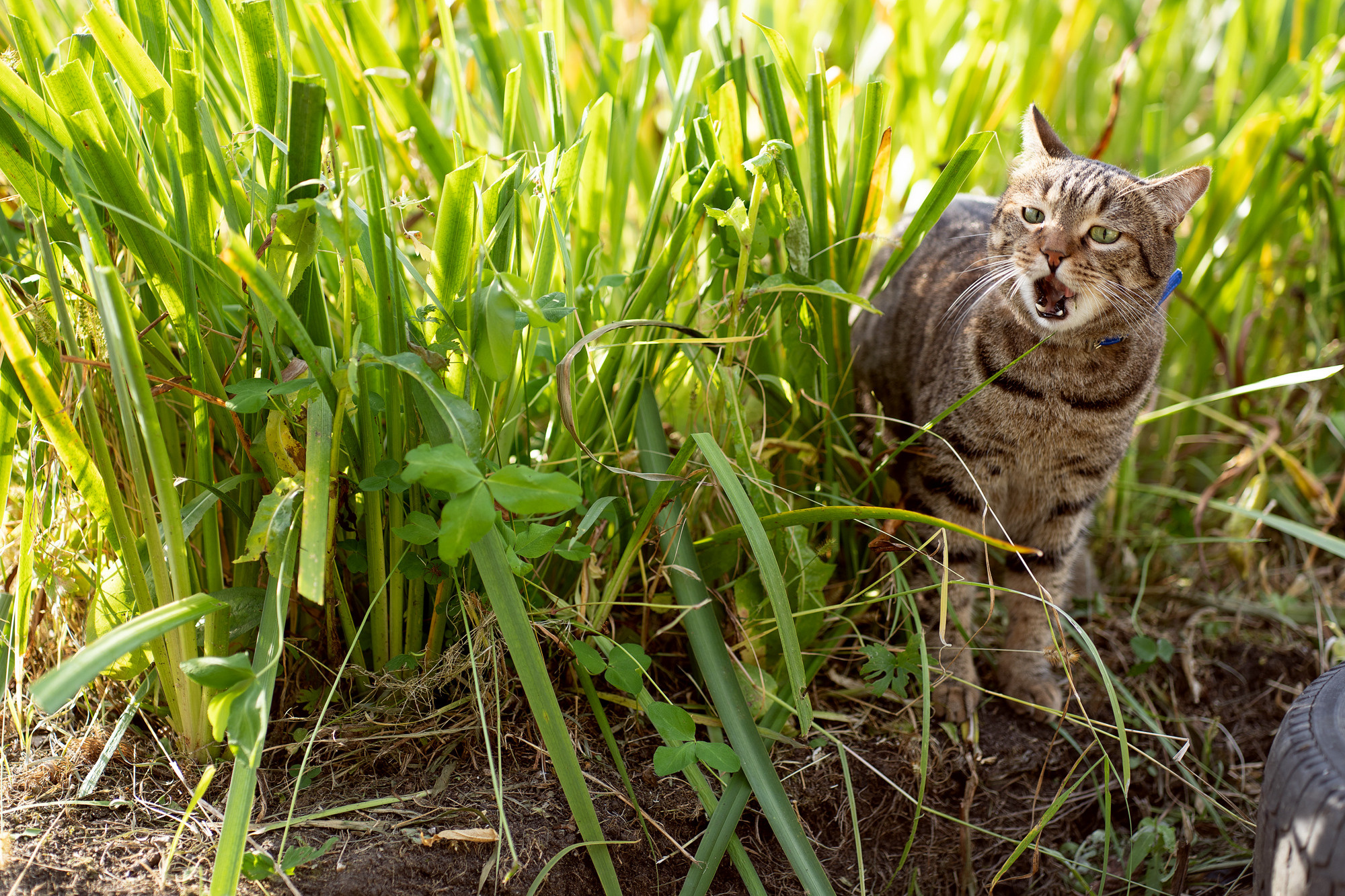 BARSELON. Семейный и детский фотограф в Хабаровске Анна Гриневич