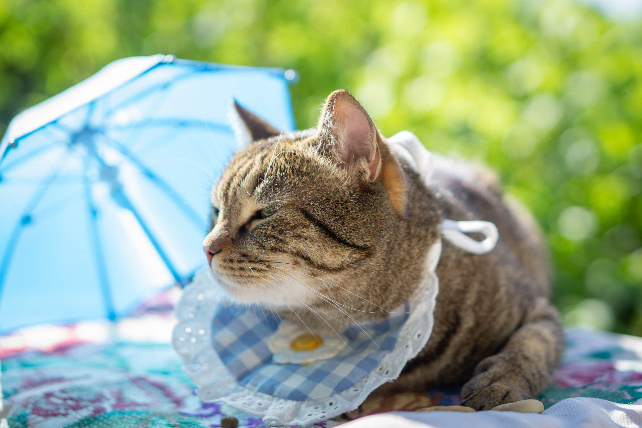 Хочу на БАЛИ!. Семейный и детский фотограф в Хабаровске Анна Гриневич