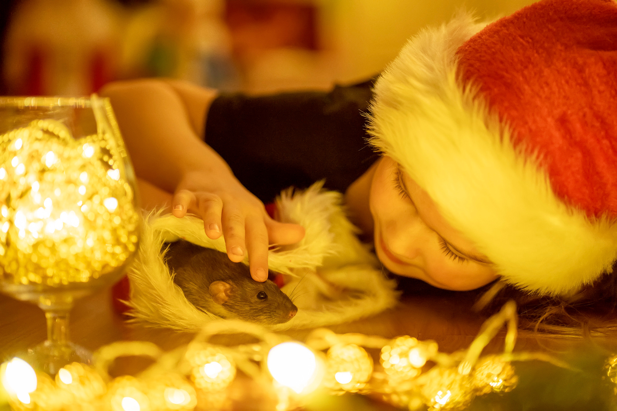 New Year 2022. Семейный и детский фотограф в Хабаровске Анна Гриневич