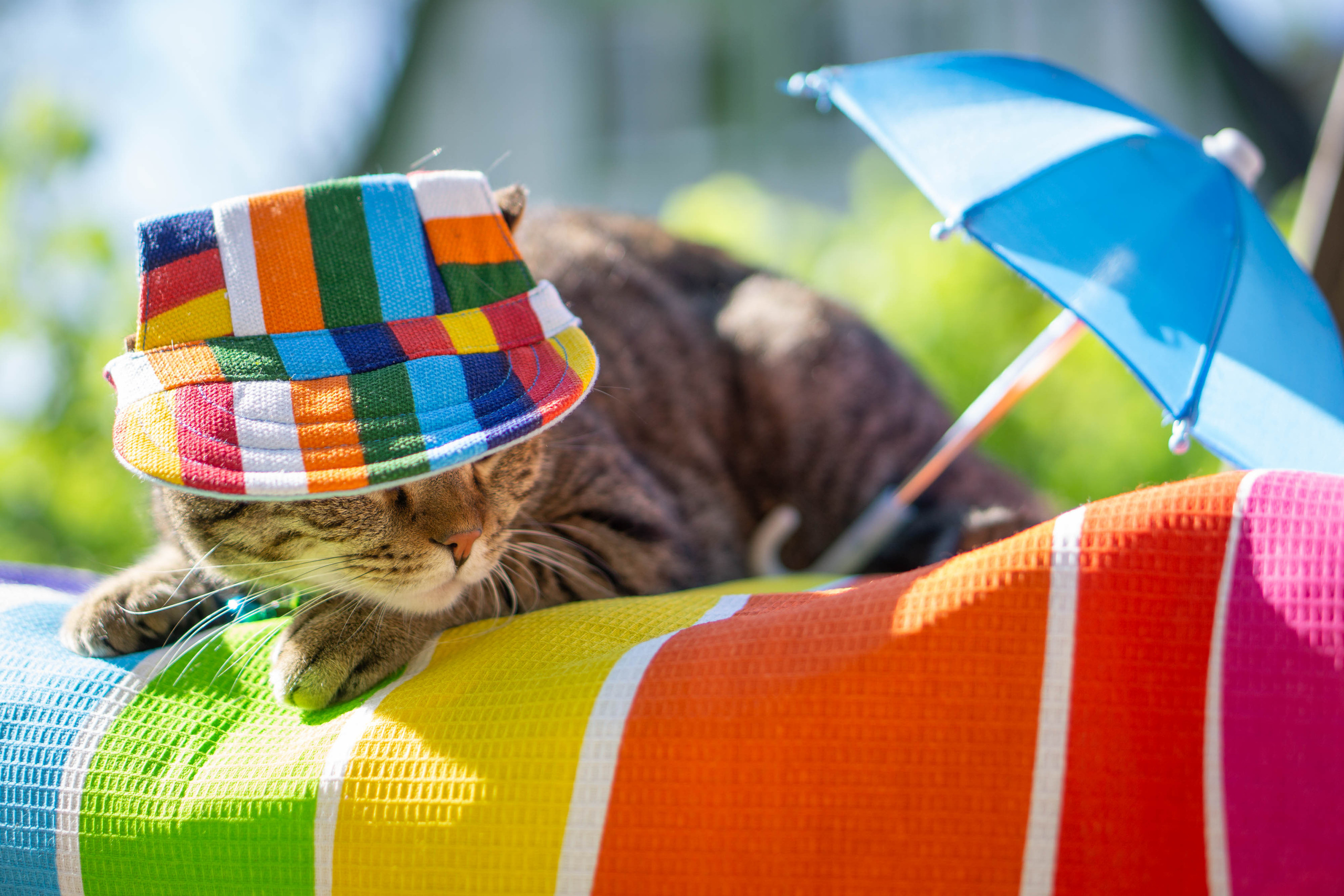 Хочу на БАЛИ!. Семейный и детский фотограф в Хабаровске Анна Гриневич