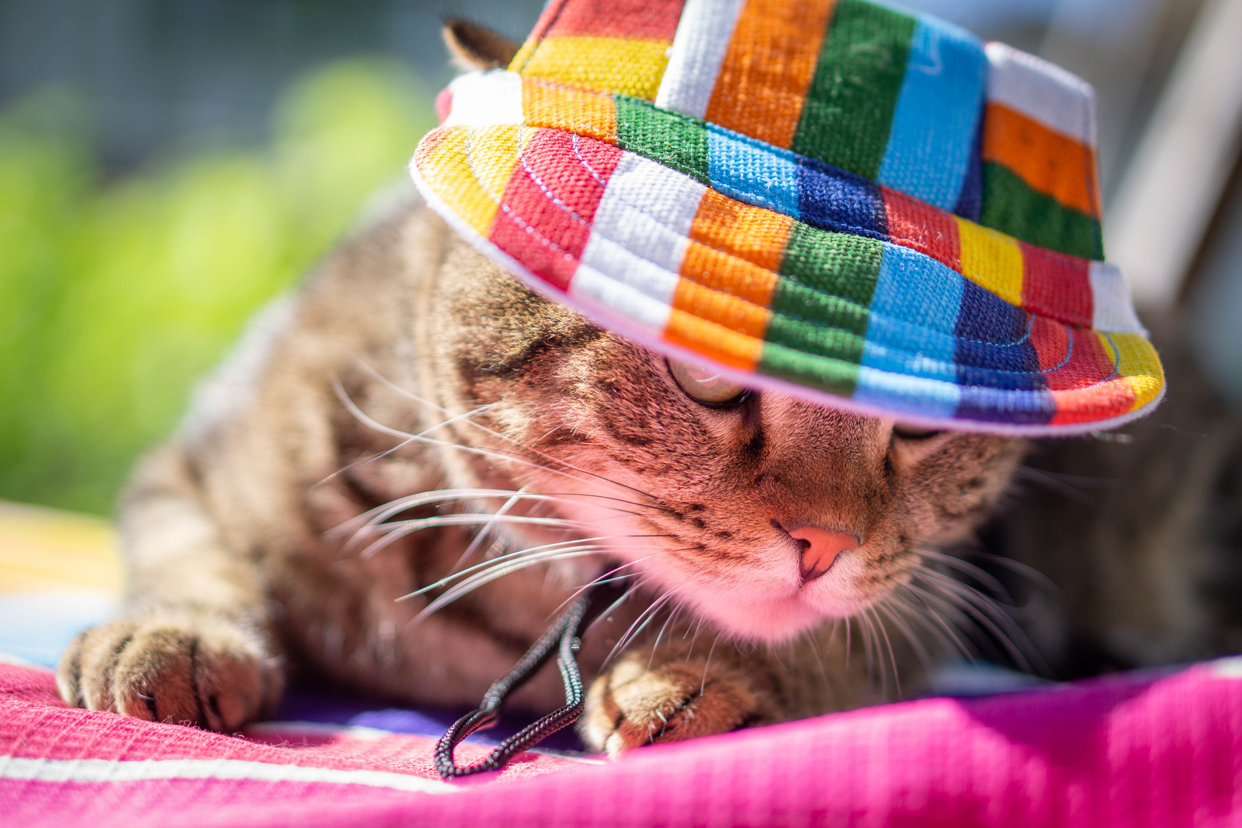 Хочу на БАЛИ!. Семейный и детский фотограф в Хабаровске Анна Гриневич