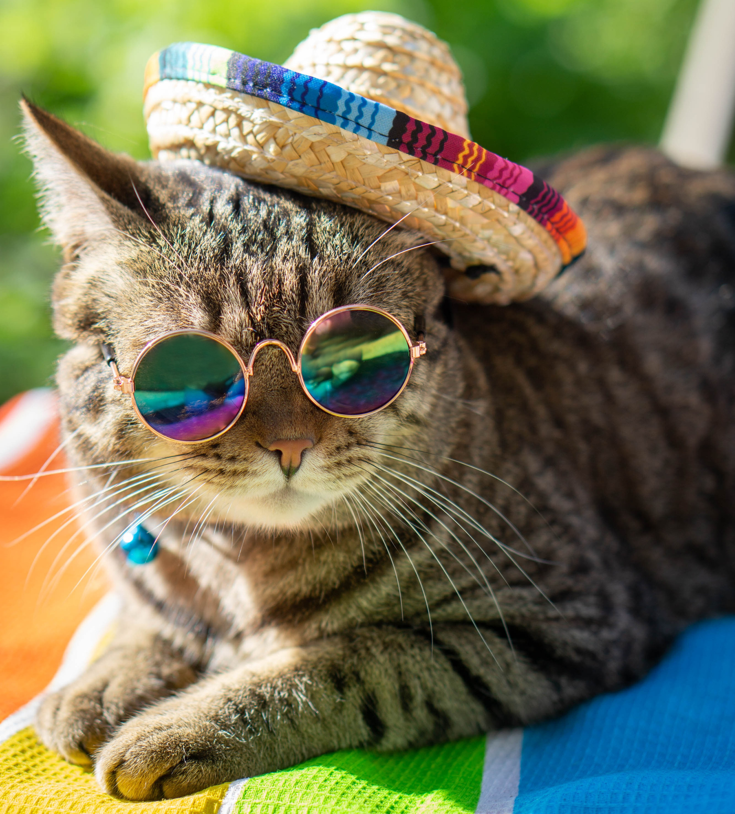 Хочу на БАЛИ!. Семейный и детский фотограф в Хабаровске Анна Гриневич