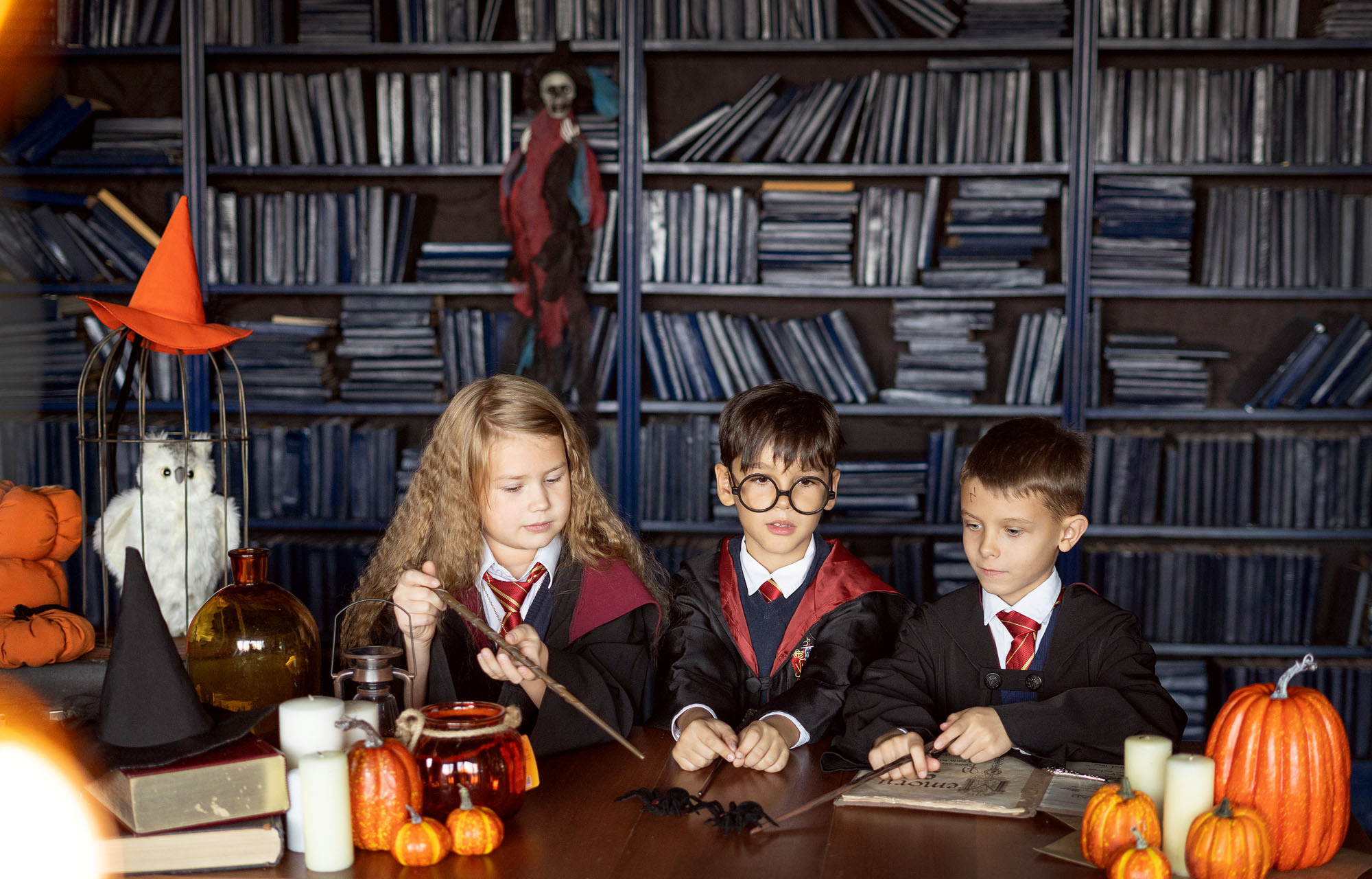 Хэллоуин и Рождество в ХОГВАРТСЕ. Семейный и детский фотограф в Хабаровске Анна Гриневич
