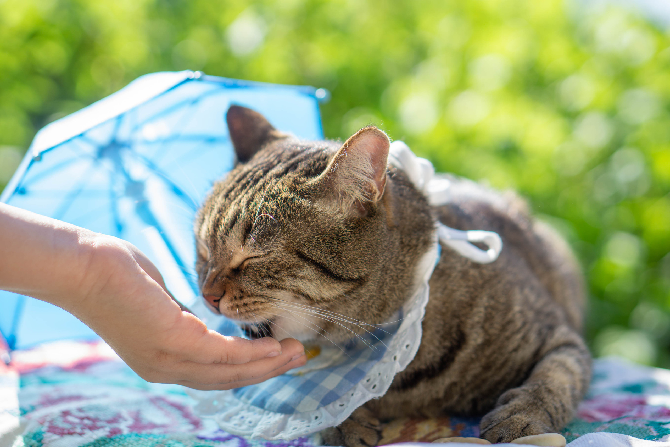 Хочу на БАЛИ!. Семейный и детский фотограф в Хабаровске Анна Гриневич