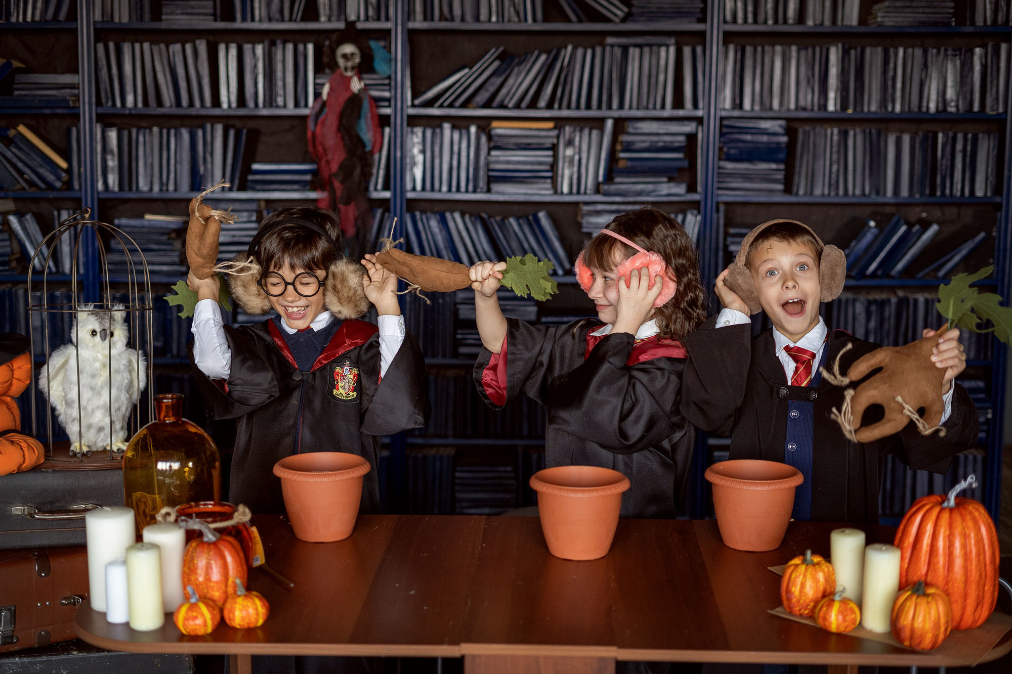 Хэллоуин и Рождество в ХОГВАРТСЕ. Семейный и детский фотограф в Хабаровске Анна Гриневич