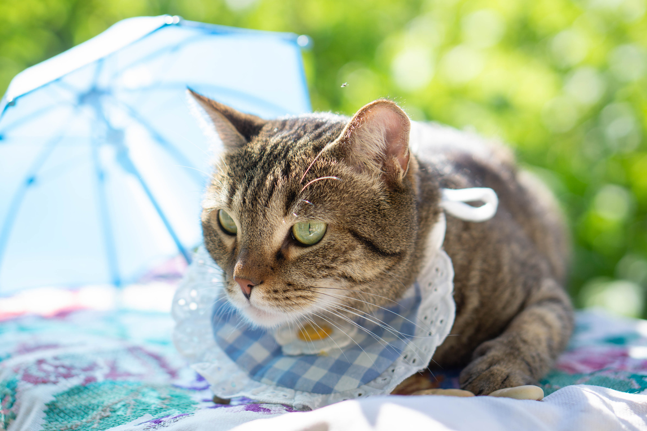 Хочу на БАЛИ!. Семейный и детский фотограф в Хабаровске Анна Гриневич