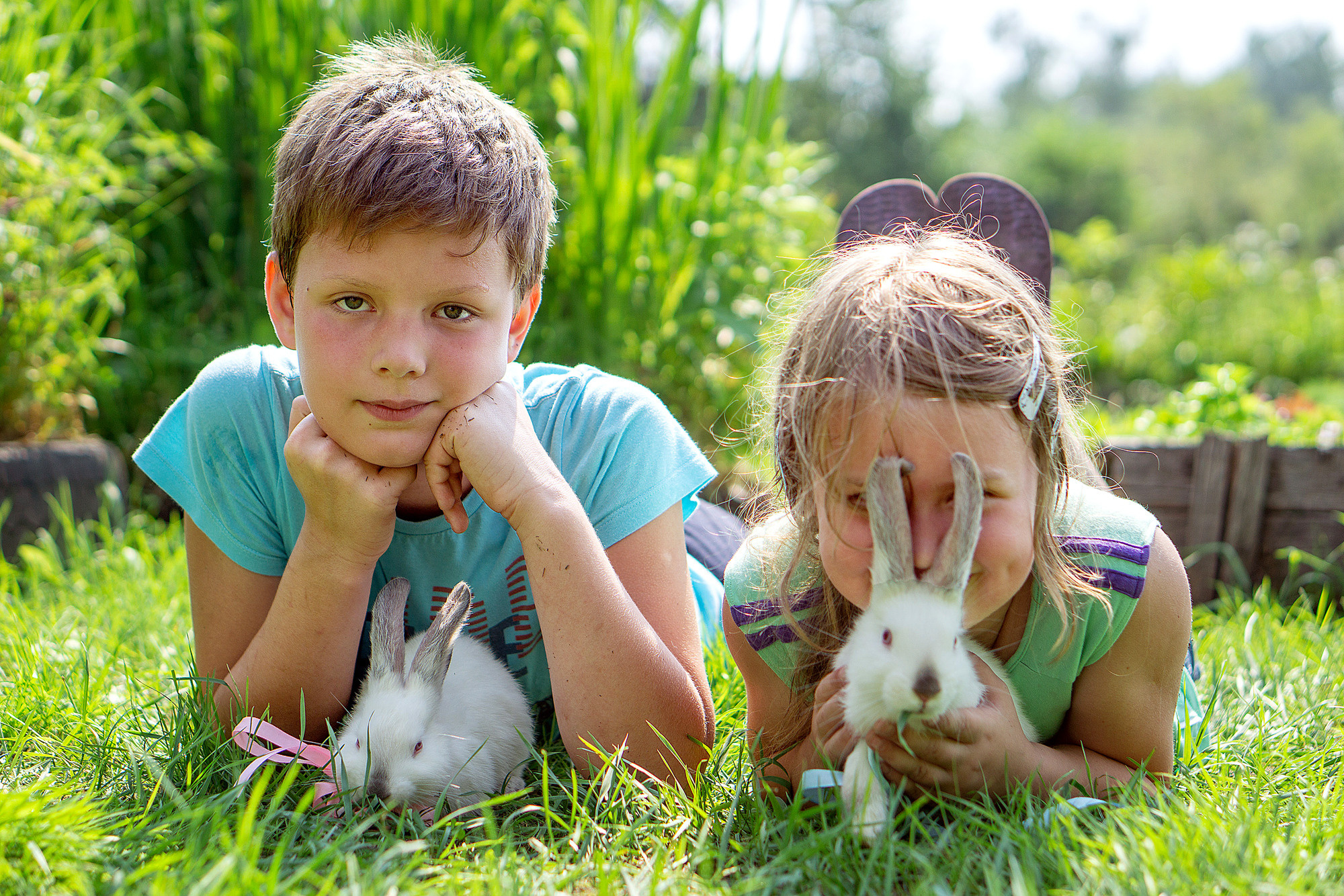 Кролики летом. Семейный и детский фотограф в Хабаровске Анна Гриневич