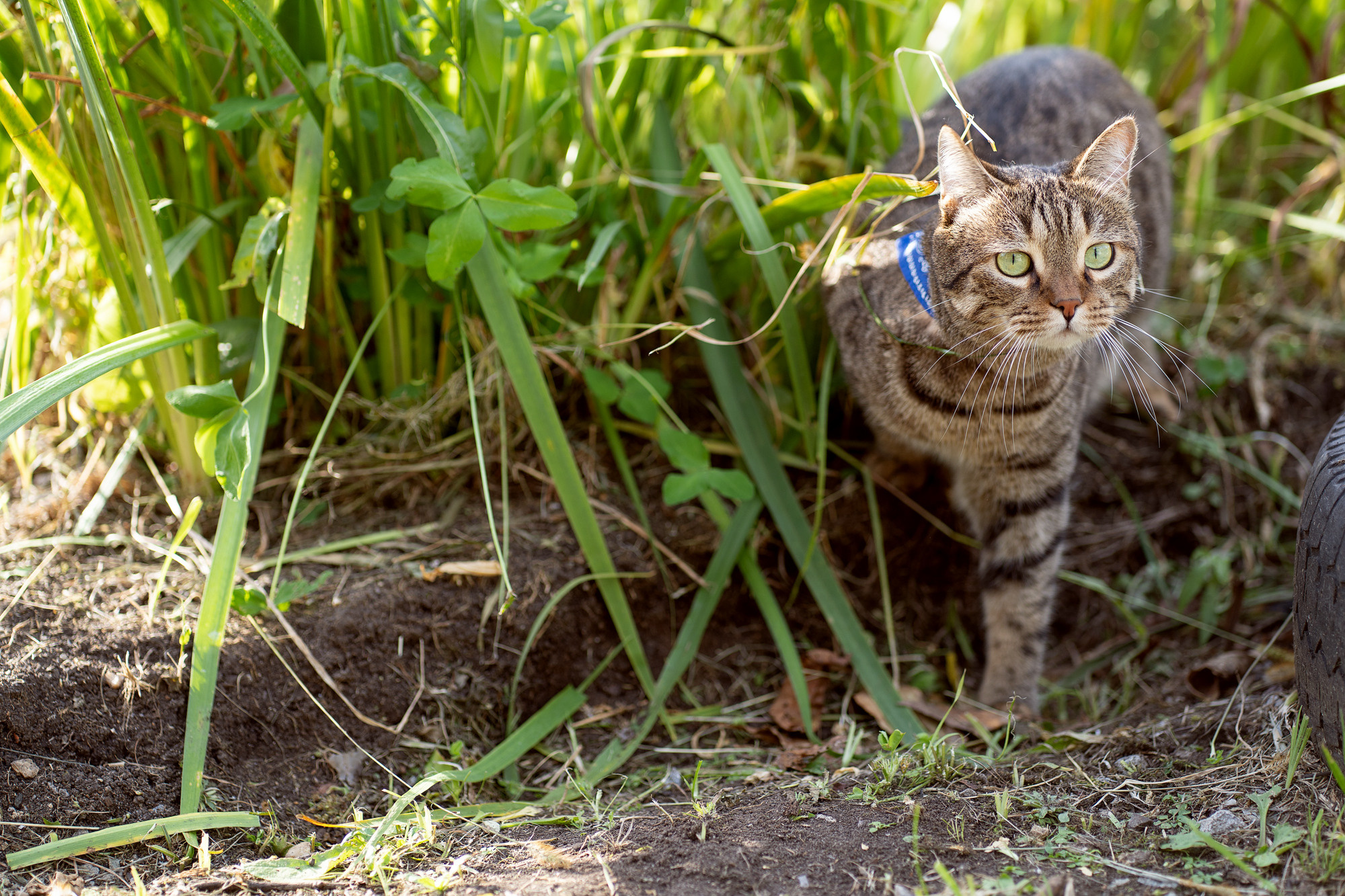 BARSELON. Семейный и детский фотограф в Хабаровске Анна Гриневич