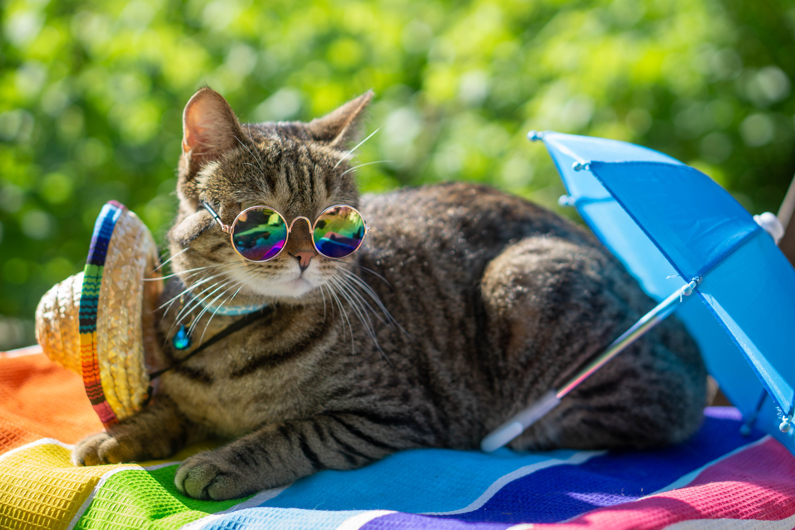 Хочу на БАЛИ!. Семейный и детский фотограф в Хабаровске Анна Гриневич