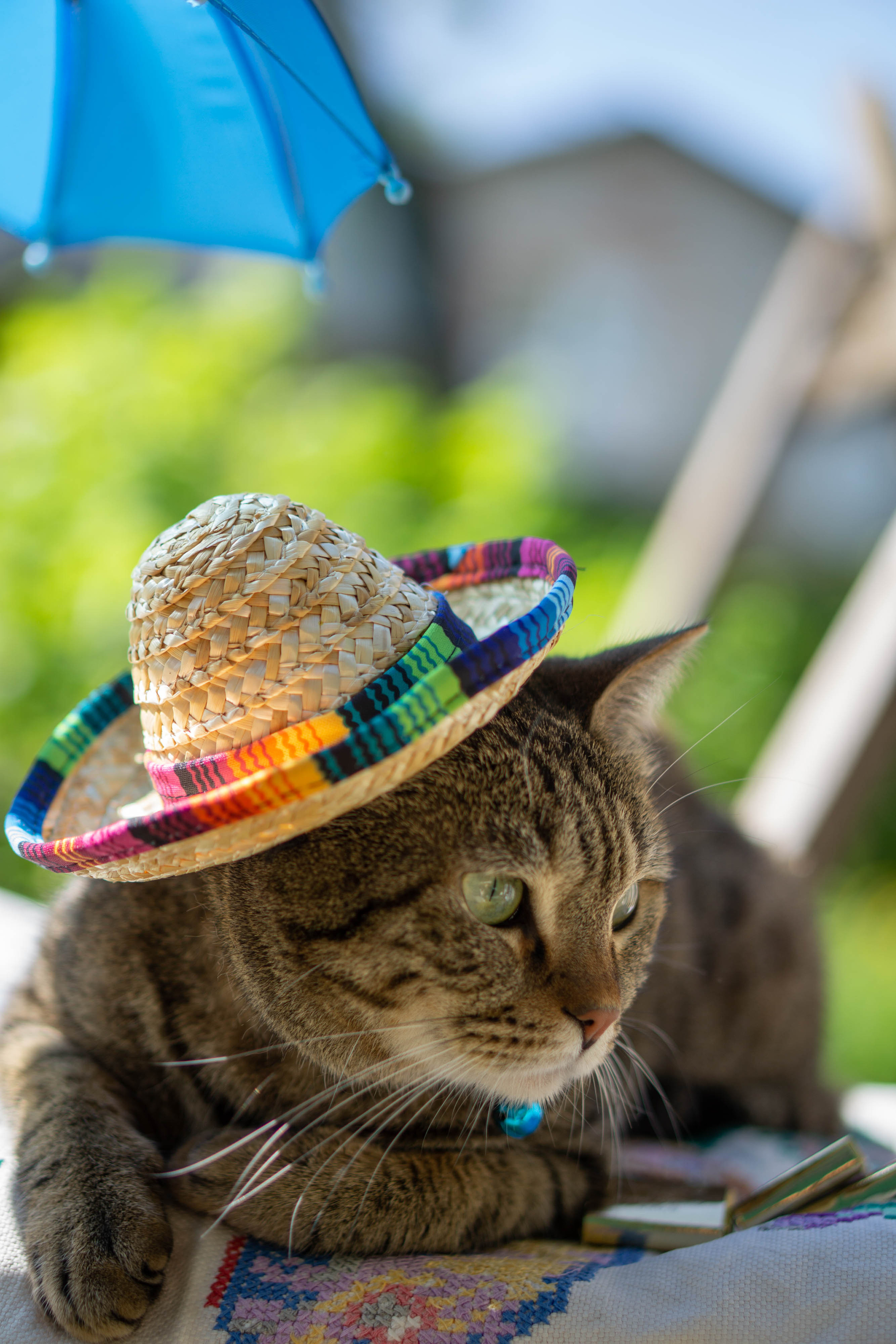 Хочу на БАЛИ!. Семейный и детский фотограф в Хабаровске Анна Гриневич