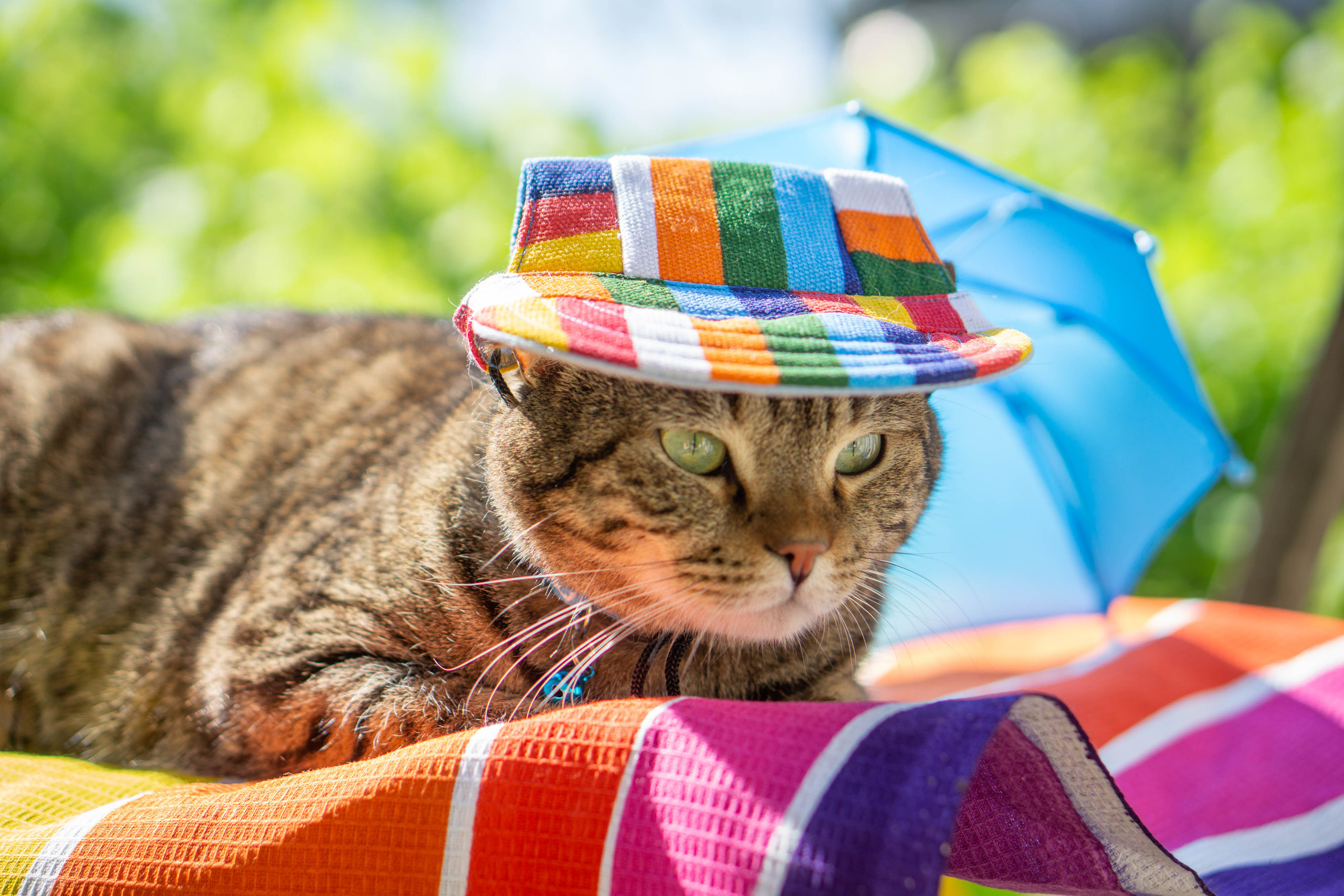 Хочу на БАЛИ!. Семейный и детский фотограф в Хабаровске Анна Гриневич