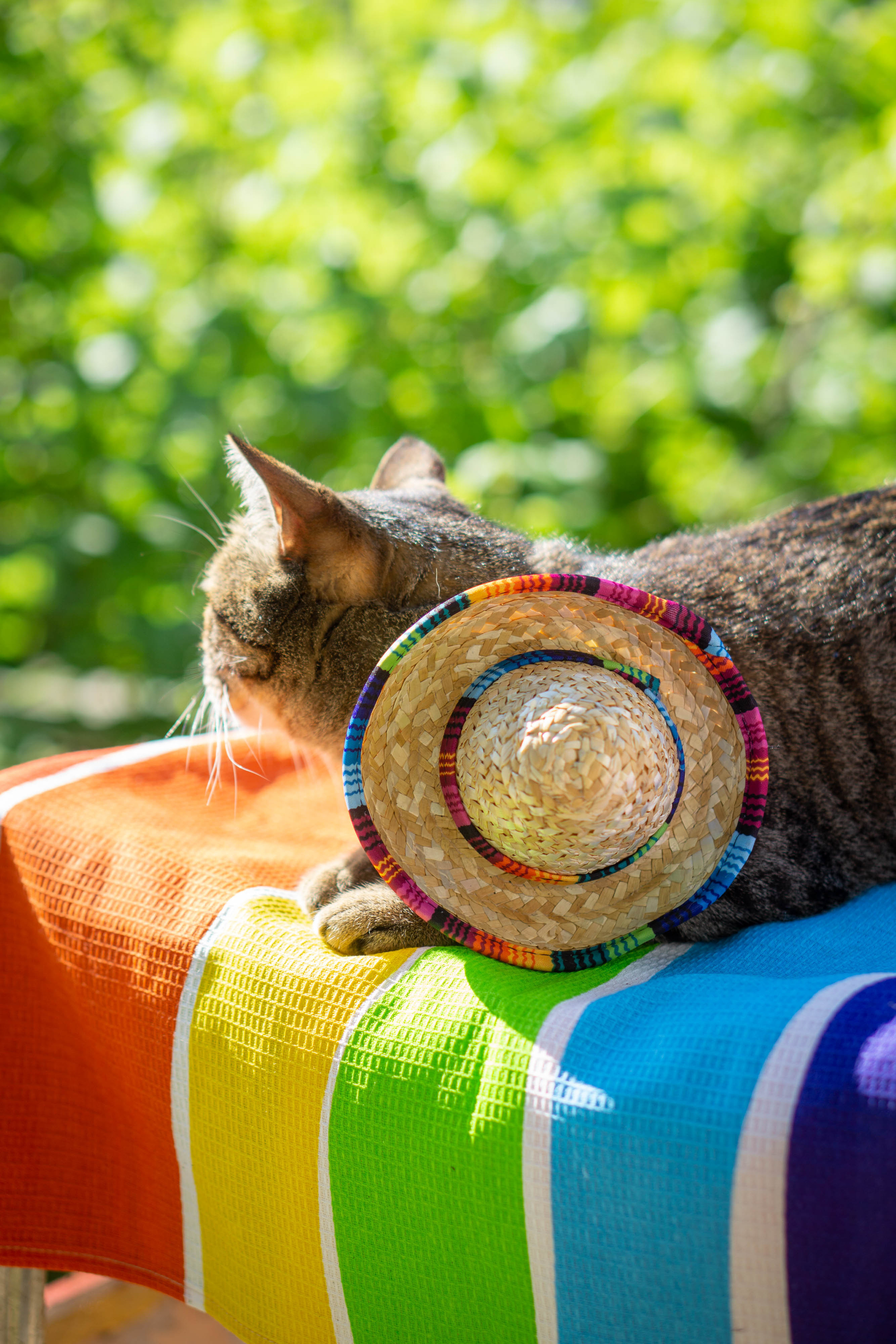 Хочу на БАЛИ!. Семейный и детский фотограф в Хабаровске Анна Гриневич