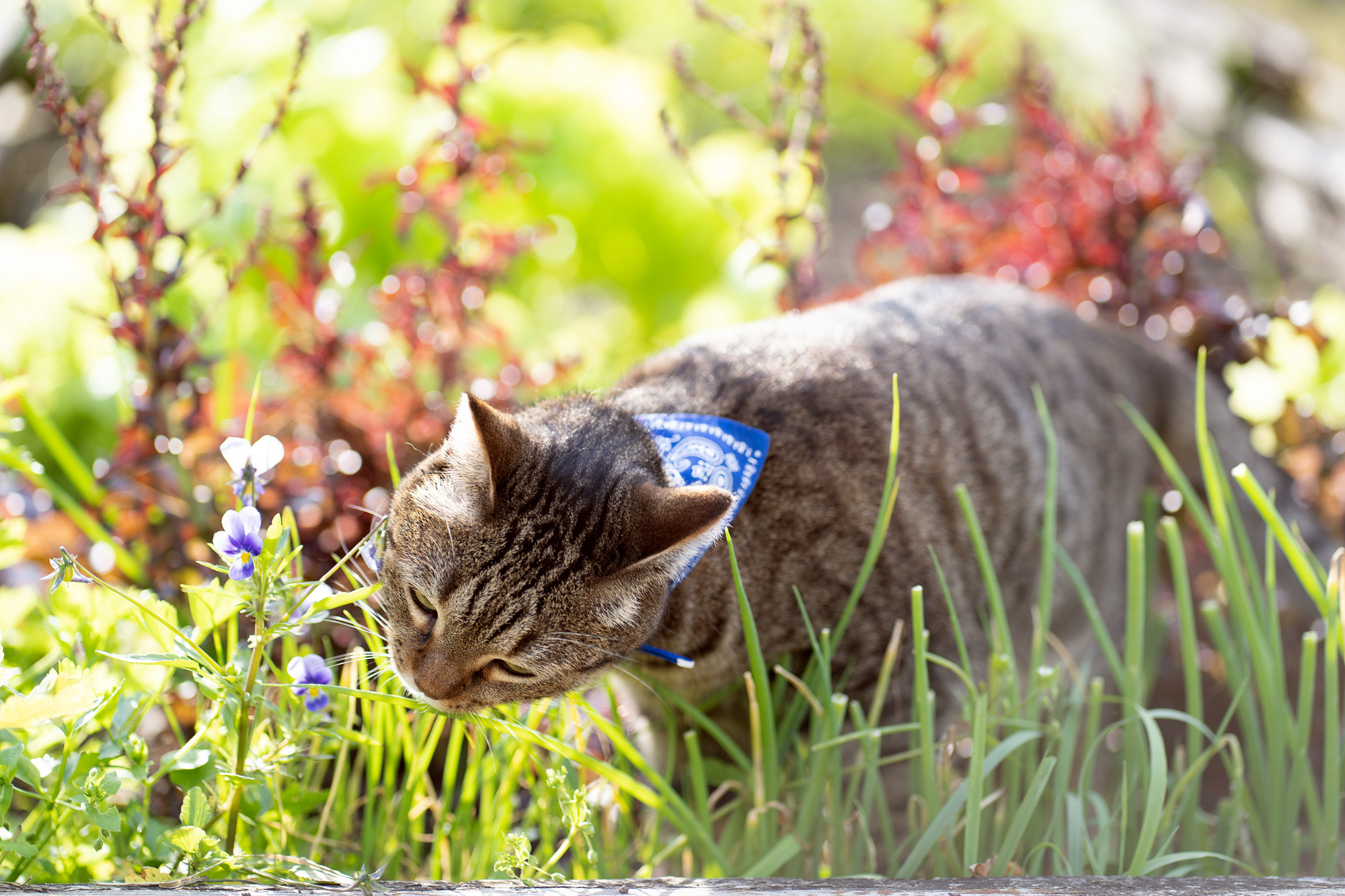 BARSELON. Семейный и детский фотограф в Хабаровске Анна Гриневич