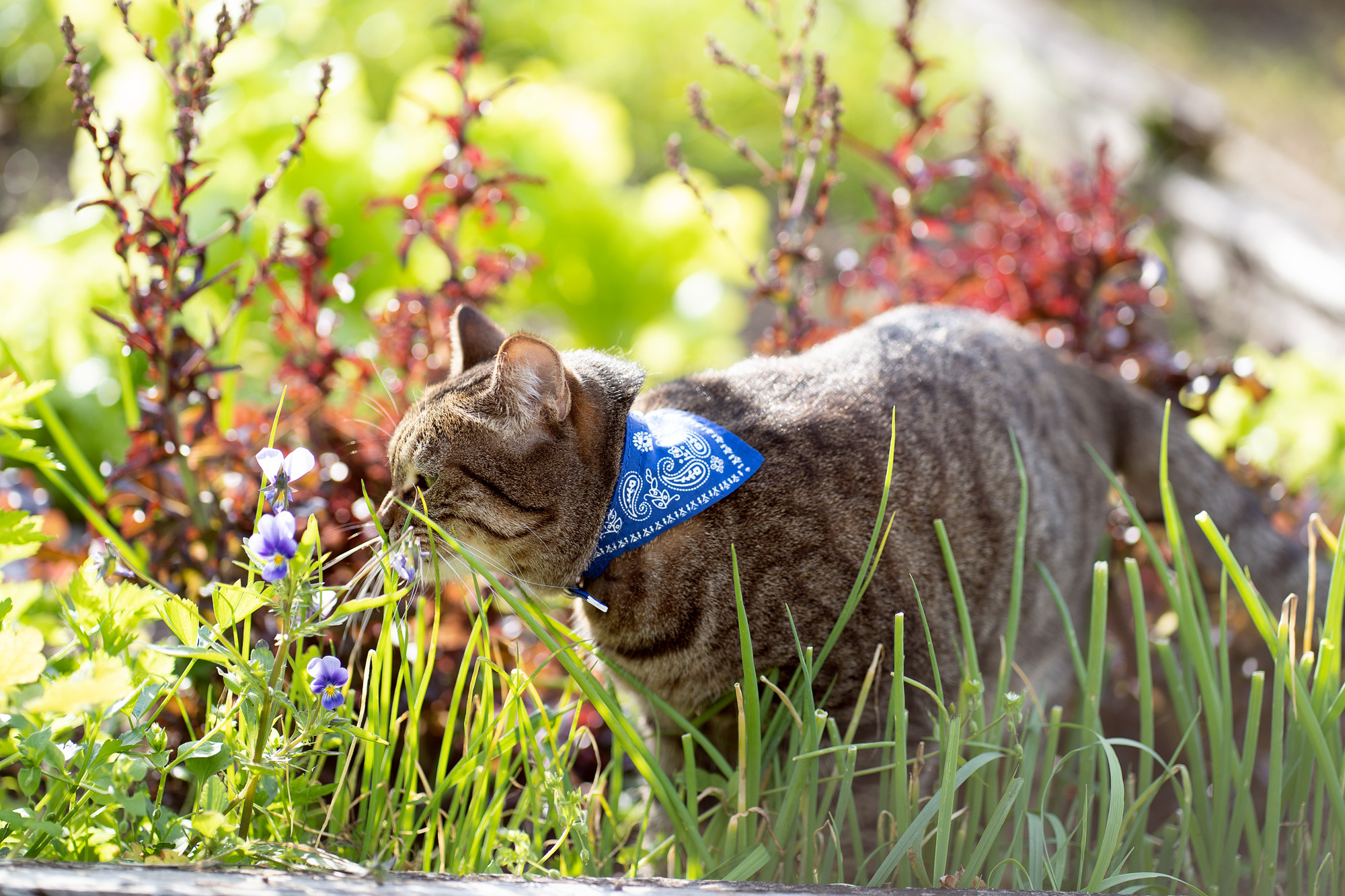 BARSELON. Семейный и детский фотограф в Хабаровске Анна Гриневич