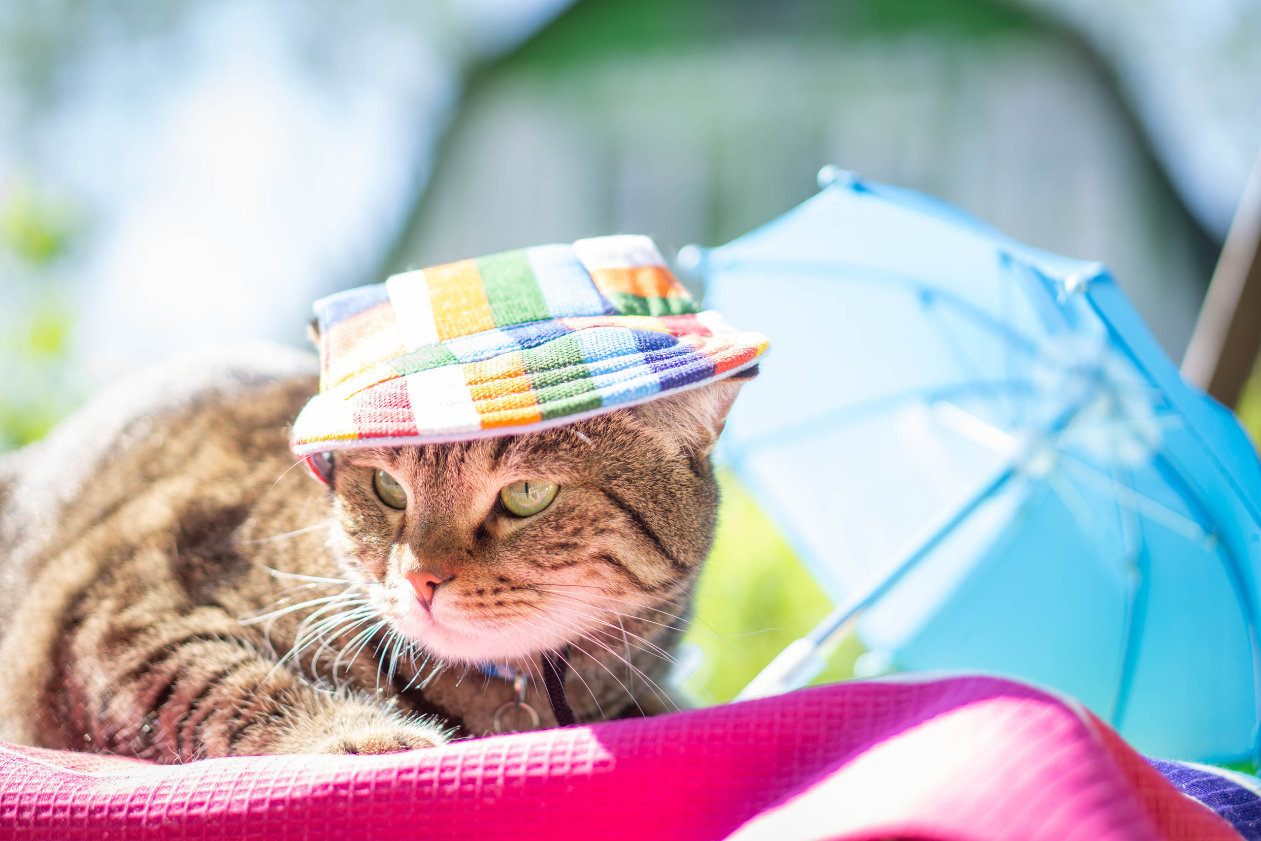 Хочу на БАЛИ!. Семейный и детский фотограф в Хабаровске Анна Гриневич