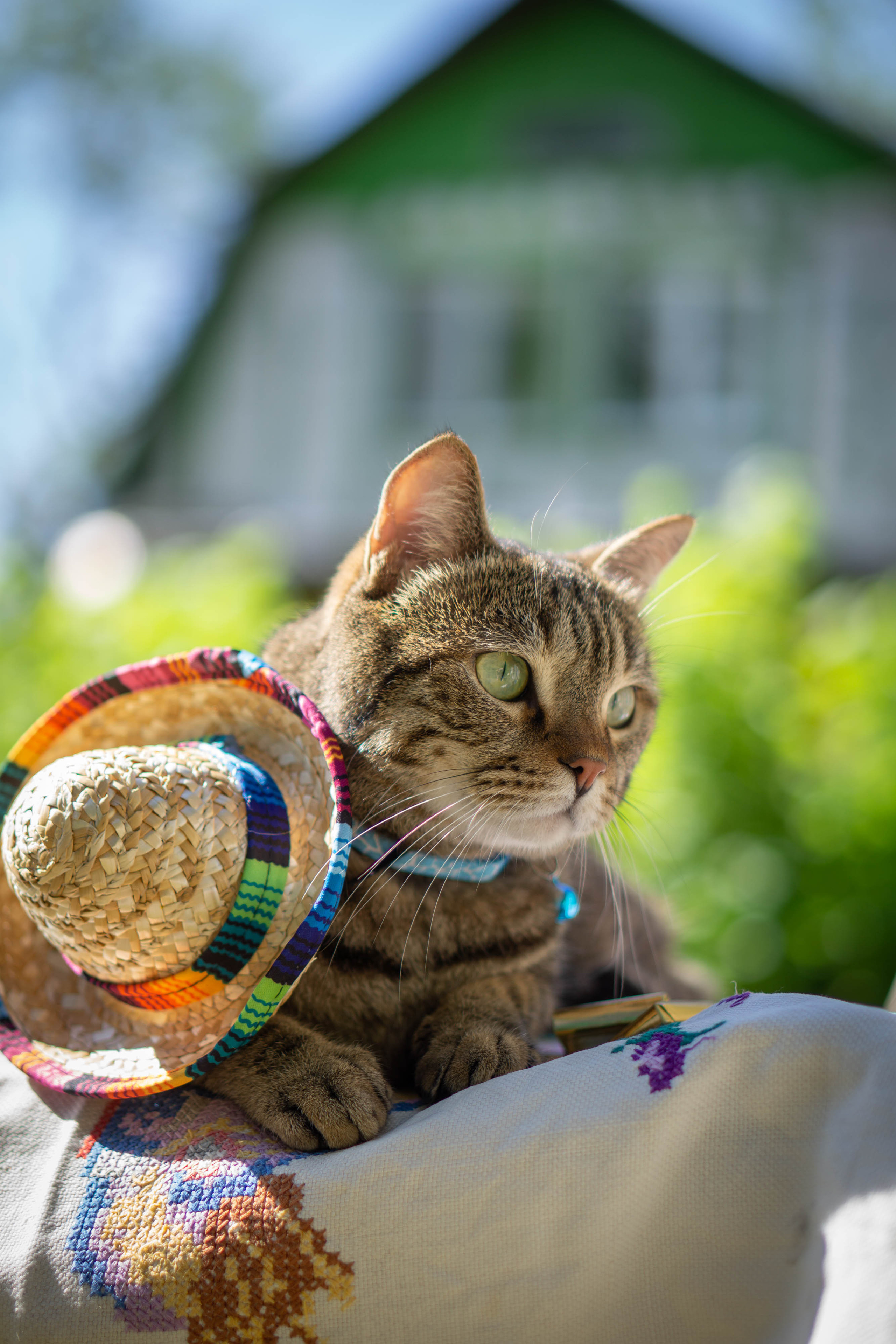 Хочу на БАЛИ!. Семейный и детский фотограф в Хабаровске Анна Гриневич