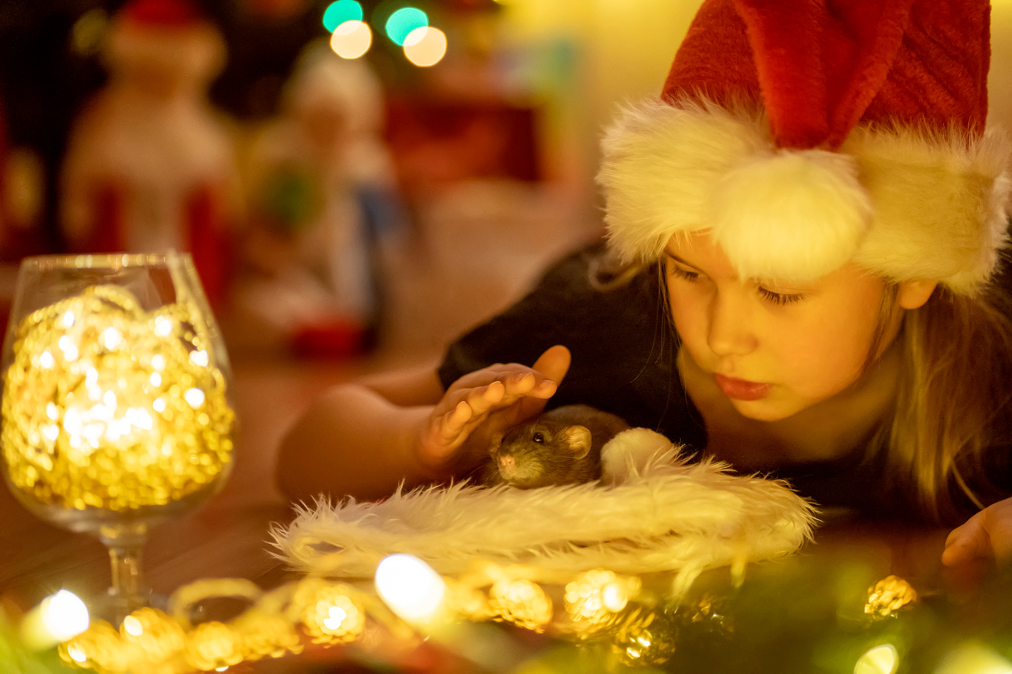 New Year 2022. Семейный и детский фотограф в Хабаровске Анна Гриневич