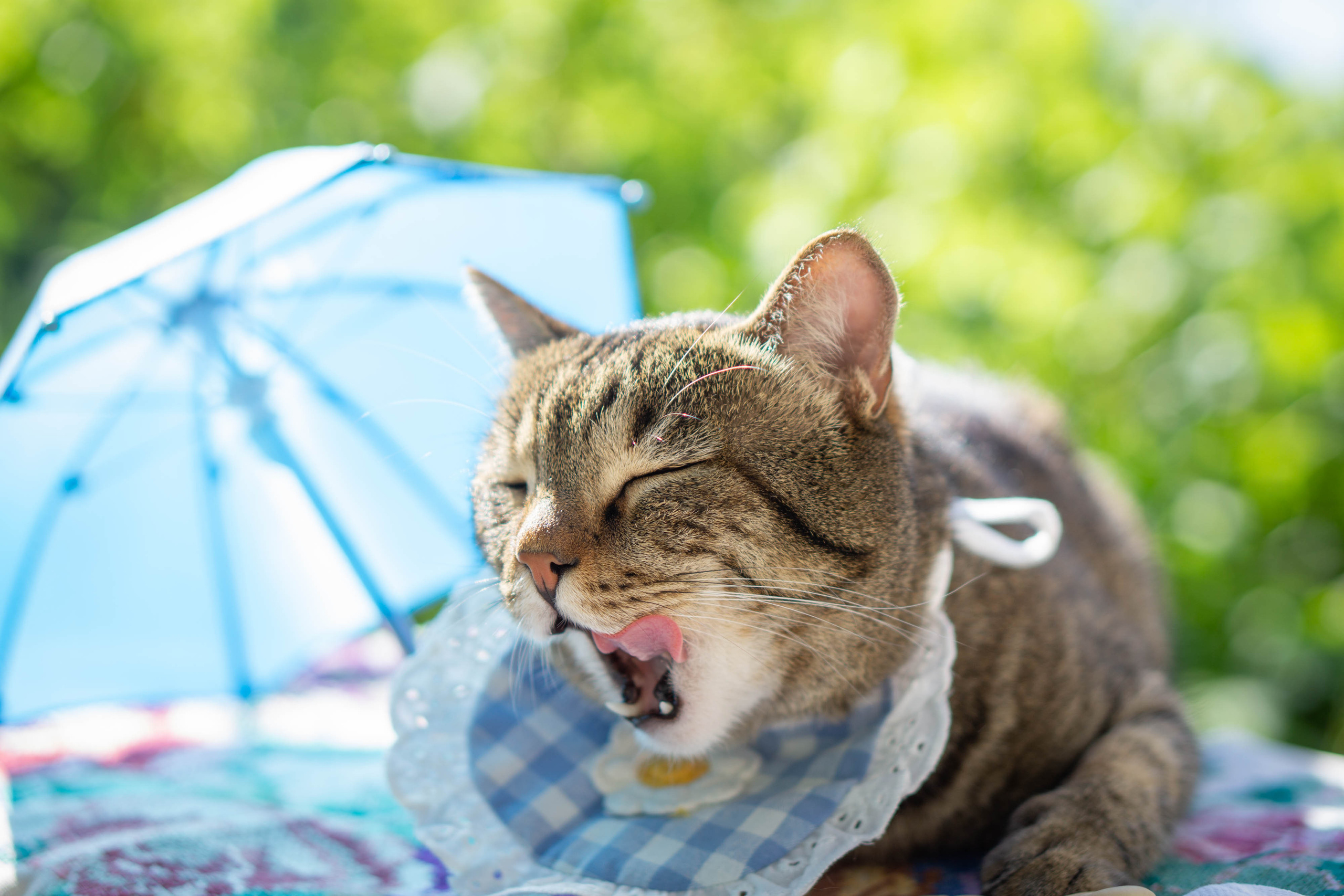 Хочу на БАЛИ!. Семейный и детский фотограф в Хабаровске Анна Гриневич