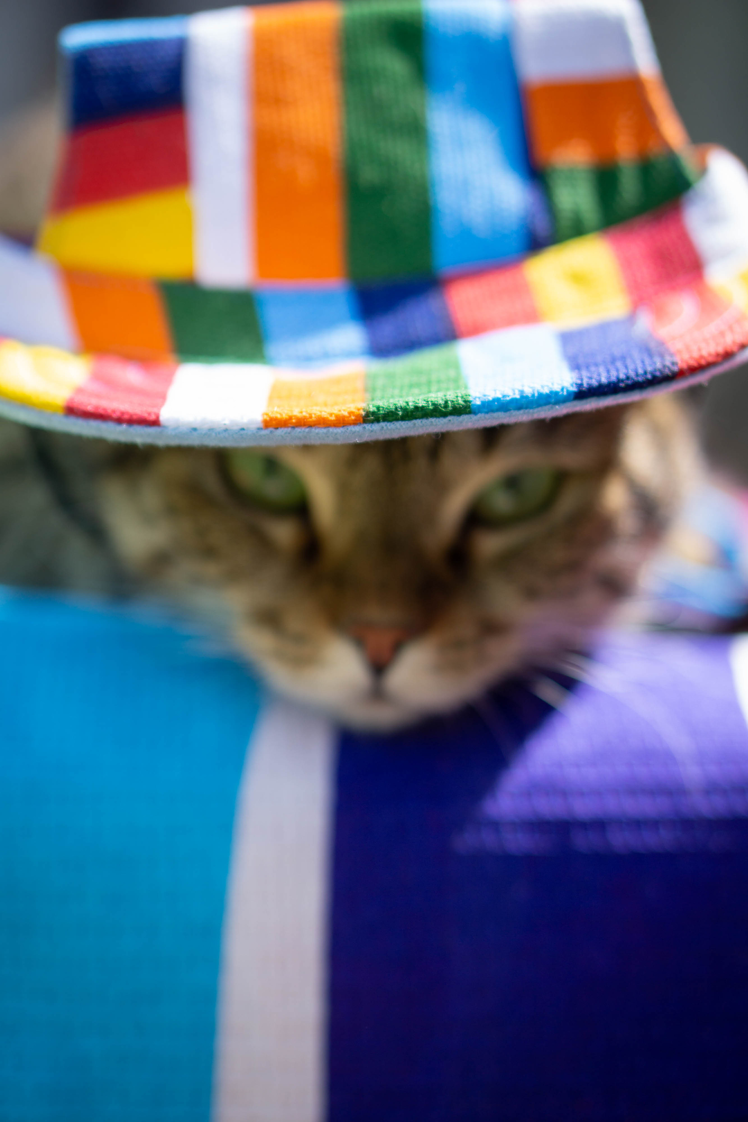 Хочу на БАЛИ!. Семейный и детский фотограф в Хабаровске Анна Гриневич