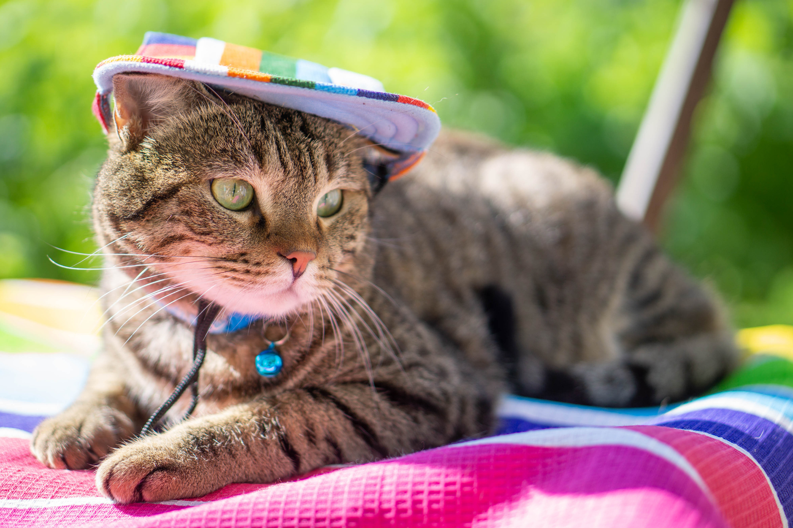 Хочу на БАЛИ!. Семейный и детский фотограф в Хабаровске Анна Гриневич