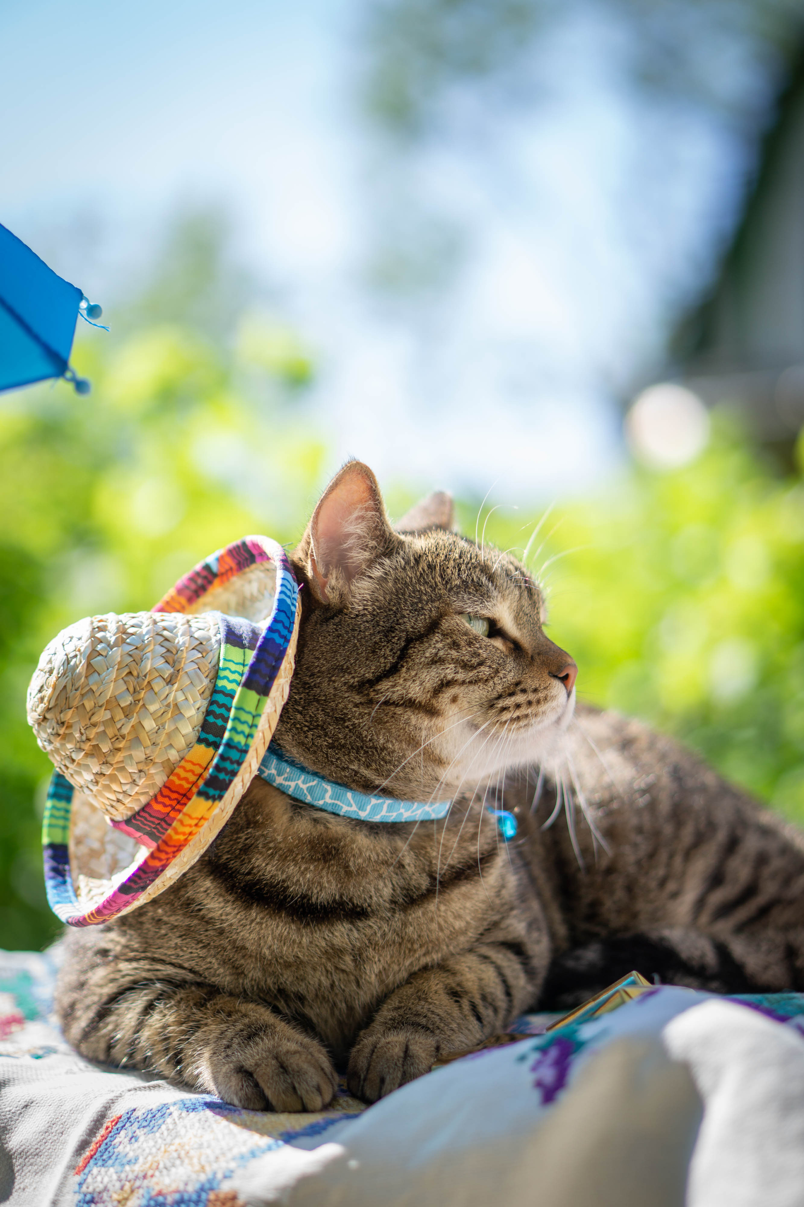 Хочу на БАЛИ!. Семейный и детский фотограф в Хабаровске Анна Гриневич
