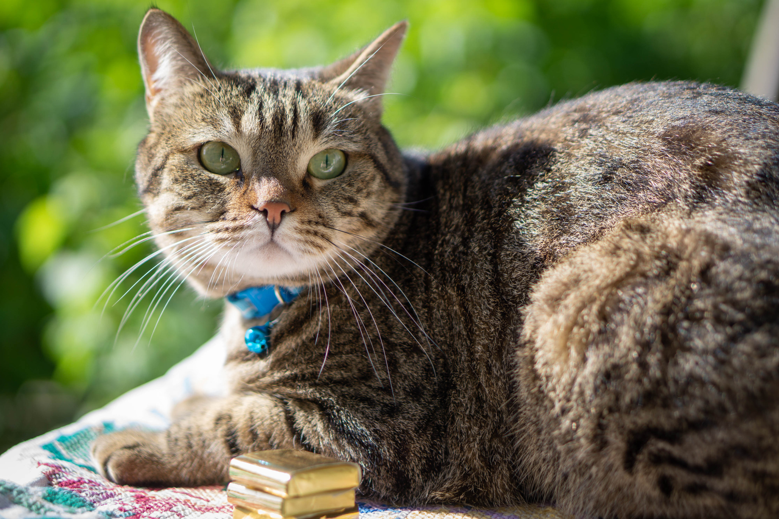 Хочу на БАЛИ!. Семейный и детский фотограф в Хабаровске Анна Гриневич